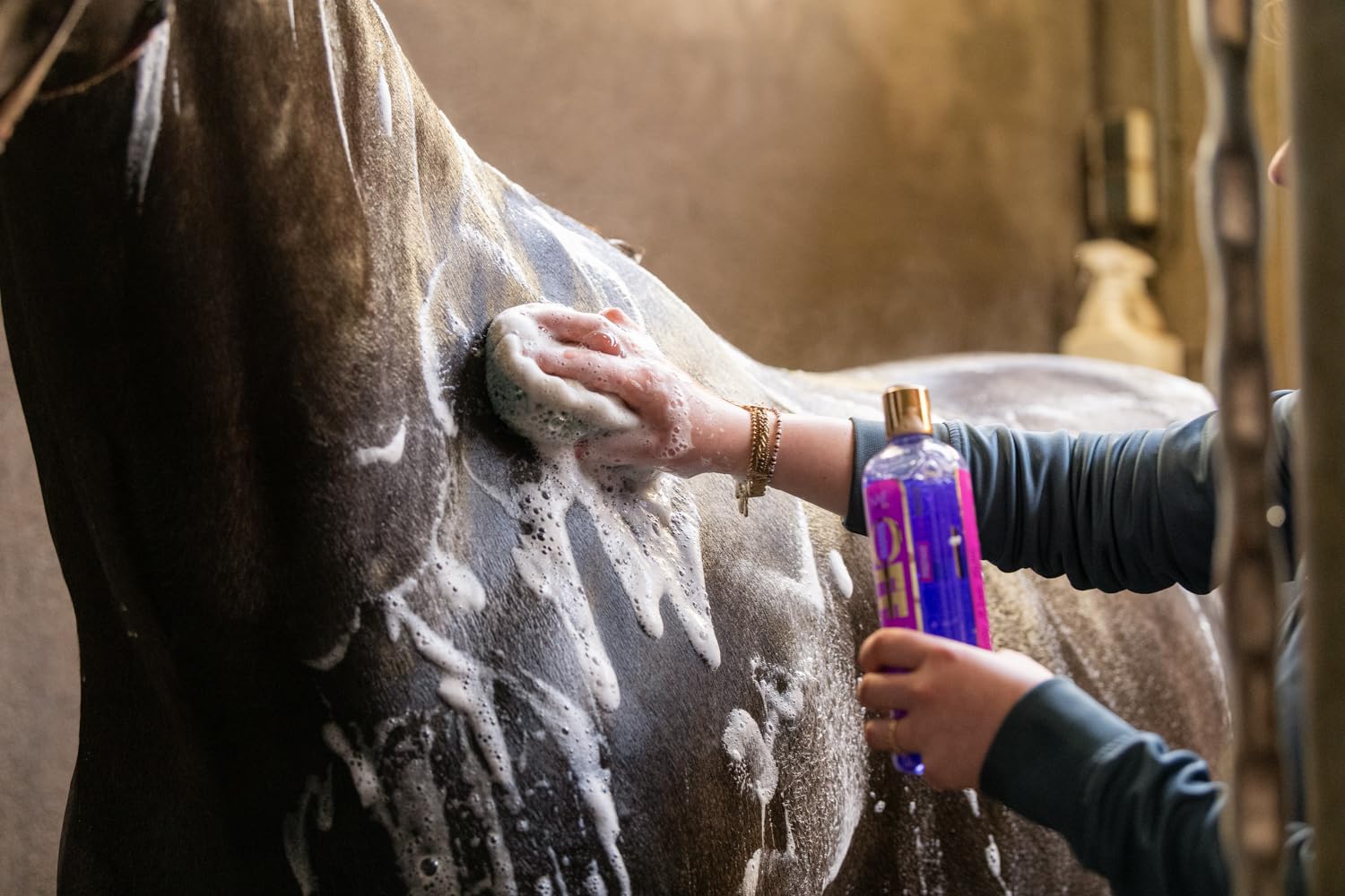 NAF Show Off Cleansing Horse Shampoo - Removes Stains & Dirt | Brightens Coat | 500 ml Liquid 3