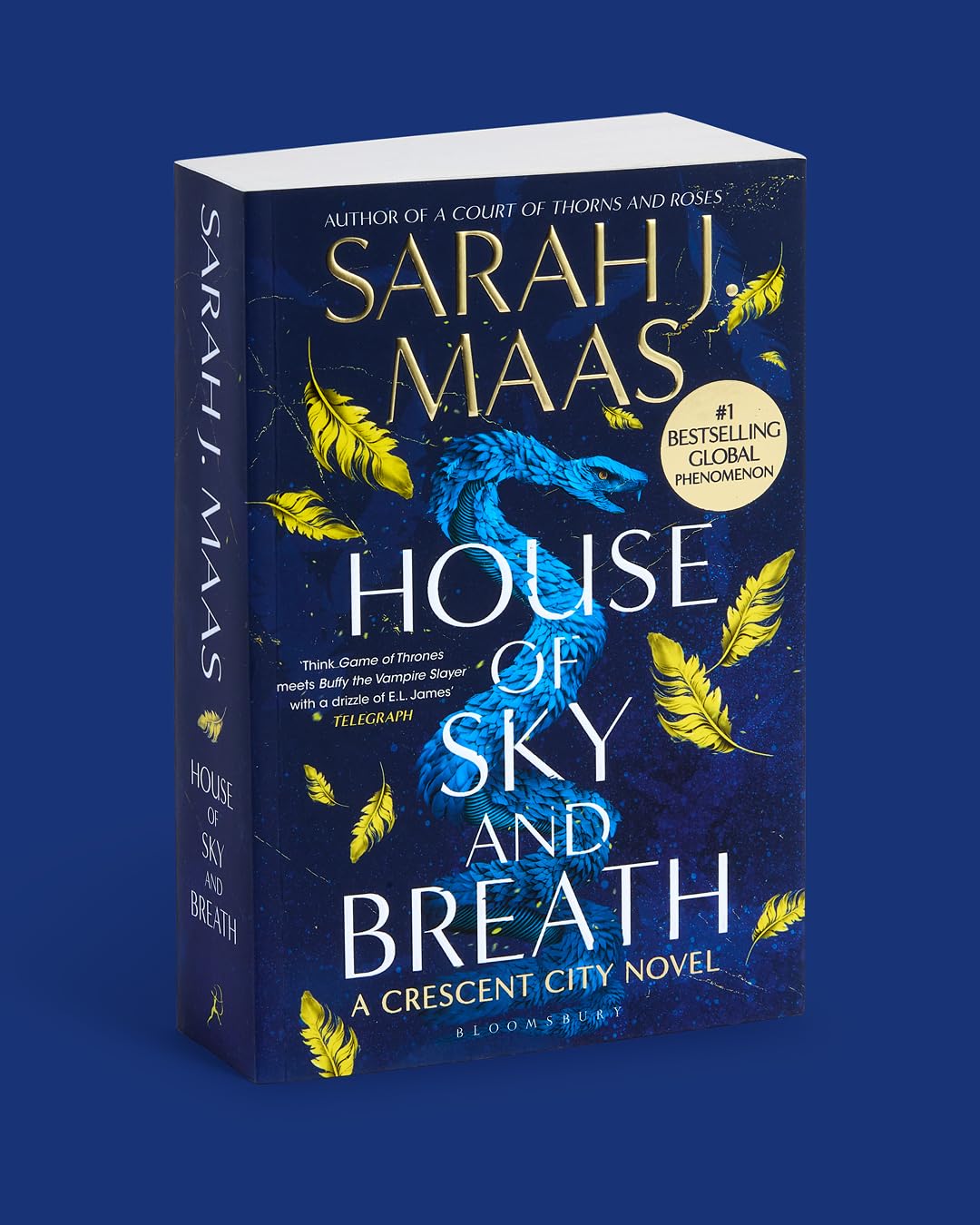 Sarah J. Maas - House of Sky and Breath | Paperback | English 3