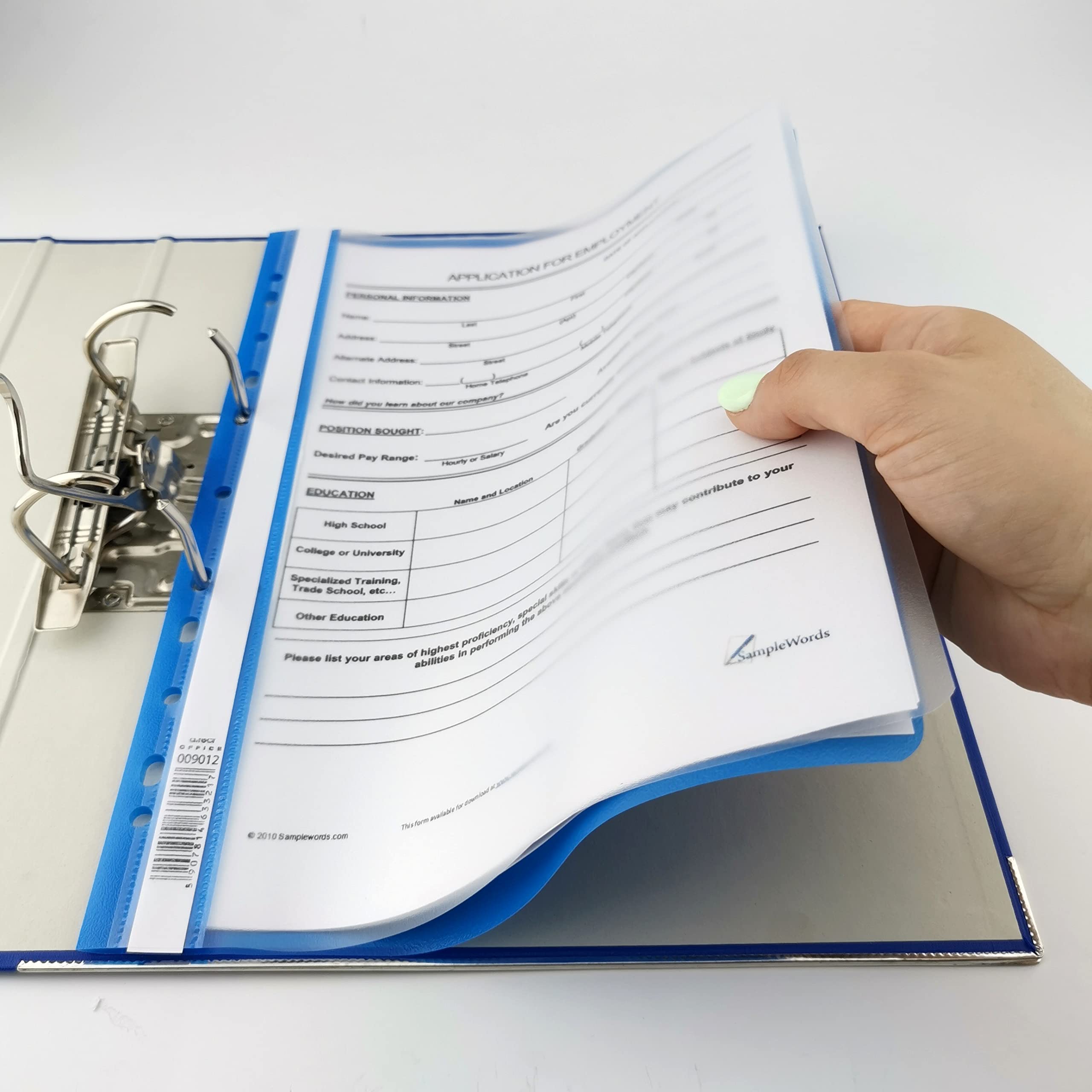 D.RECT A4 File Folders - Pack of 10 (2 per Colour) | Perforated Euro Style | Transparent PP Plastic 4