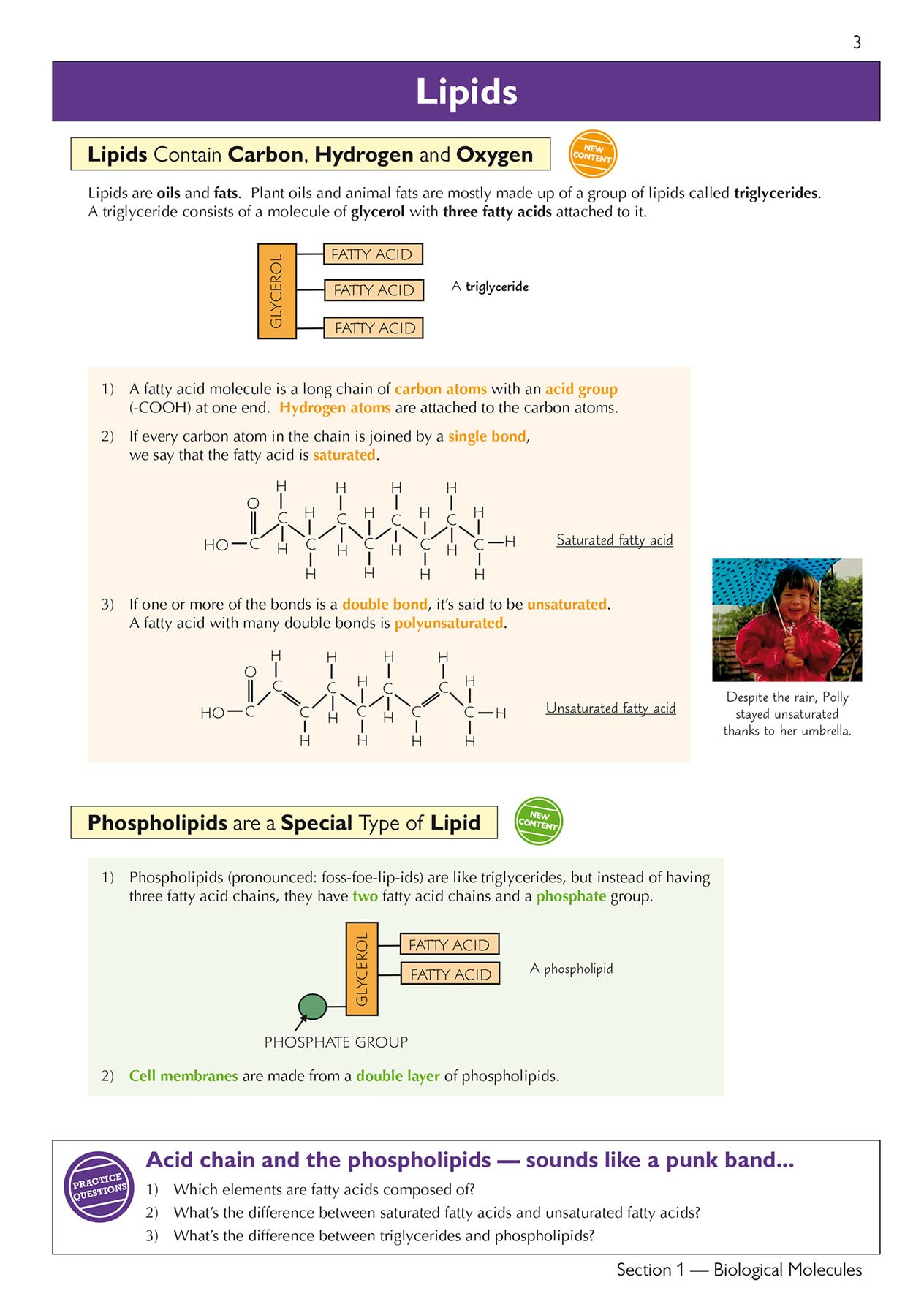 CGP Head Start to A-Level Biology - Bridging GCSE to A-Level Prep | Paperback 4