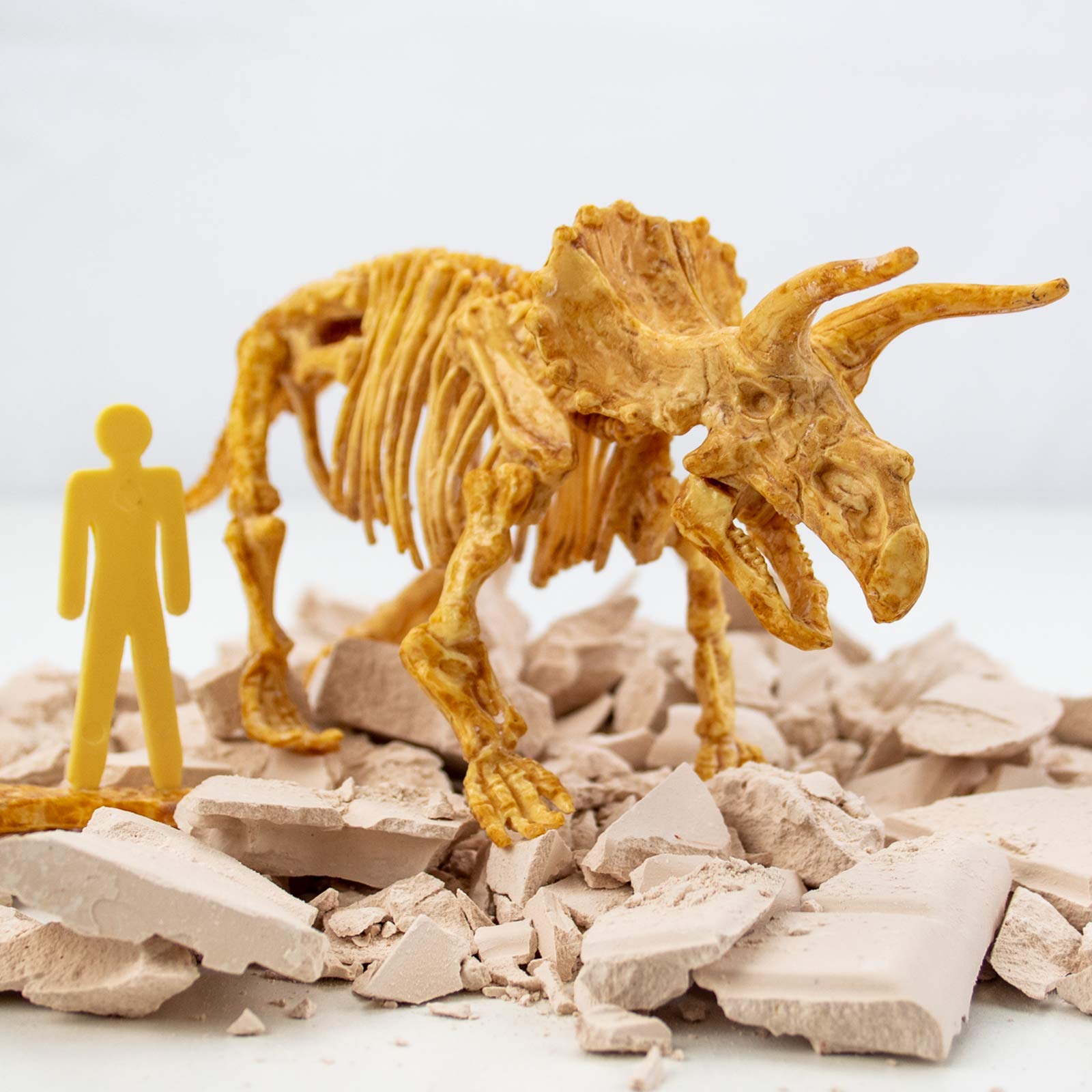Science4you Triceratops Fossil Digging Kit - 10-Piece Dinosaur Excavation Set for Kids 6+