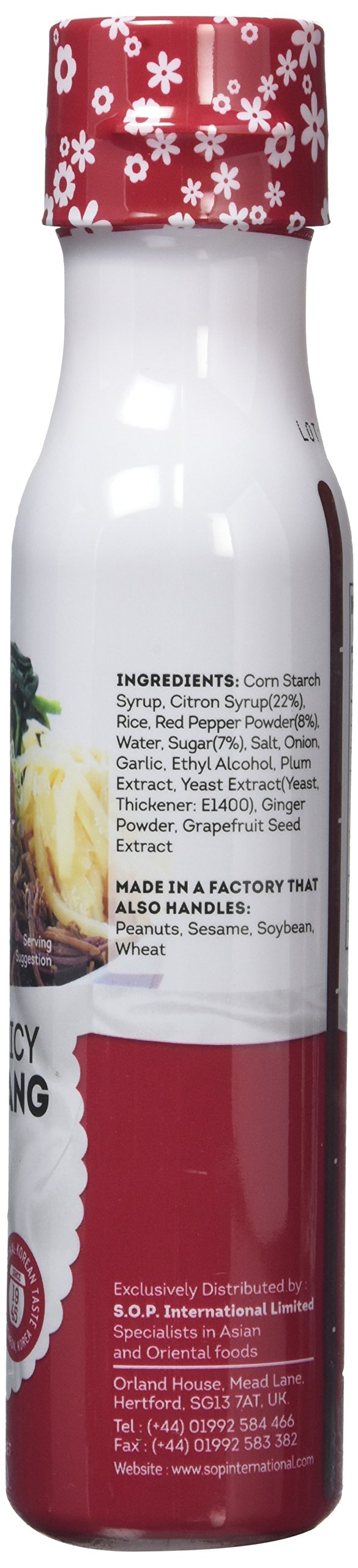 Ajumma Republic Sweet and Spicy Gochujang Chilli Sauce with Citron - 300g 4