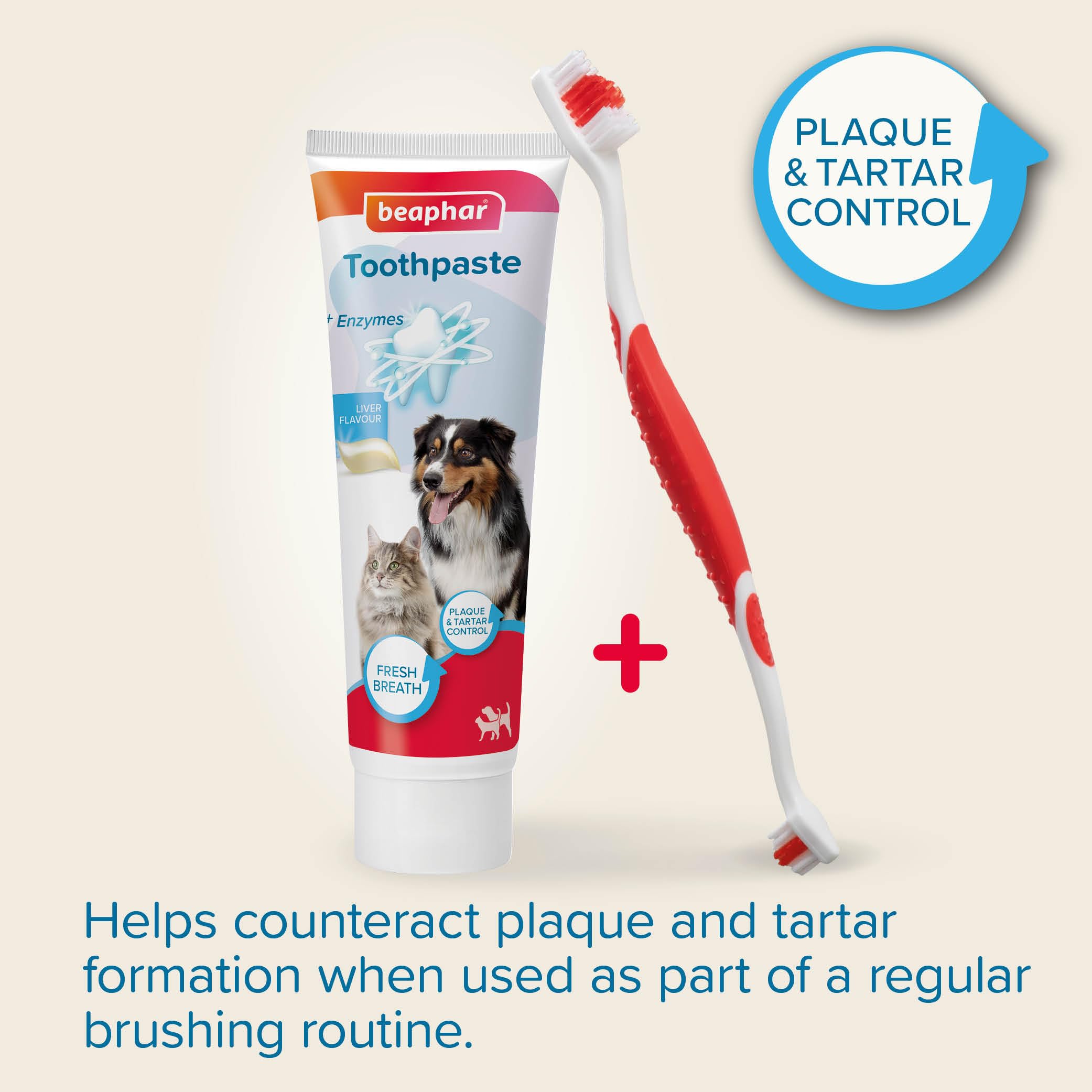 Beaphar Dental Care Kit for Cats & Dogs - Double-Ended Toothbrush & Enzyme Toothpaste 2