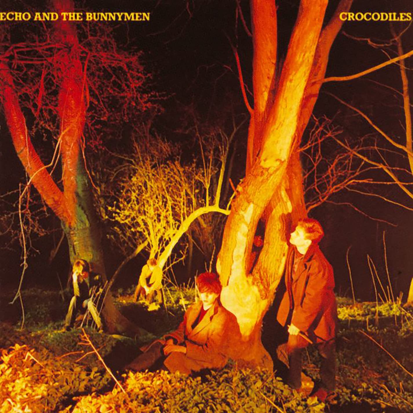 Echo &amp; The Bunnymen – Crocodiles [Vinyl]