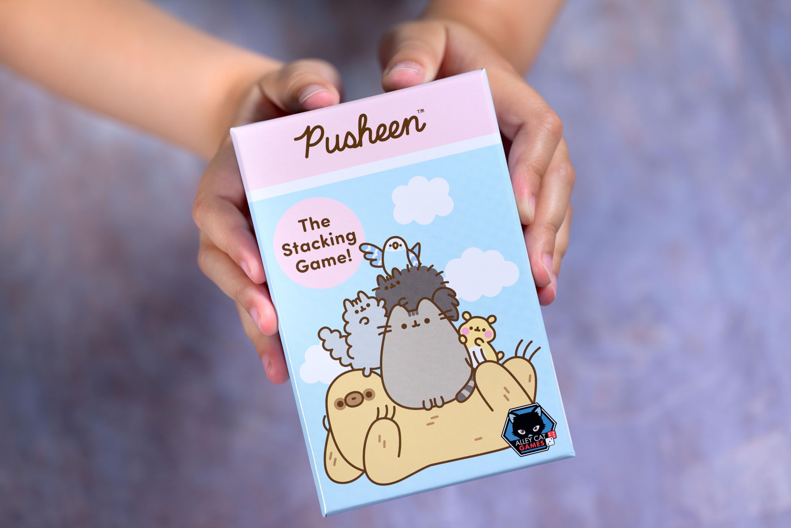 Alley Cat Games Pusheen Stapel-Geschicklichkeitsspiel 9