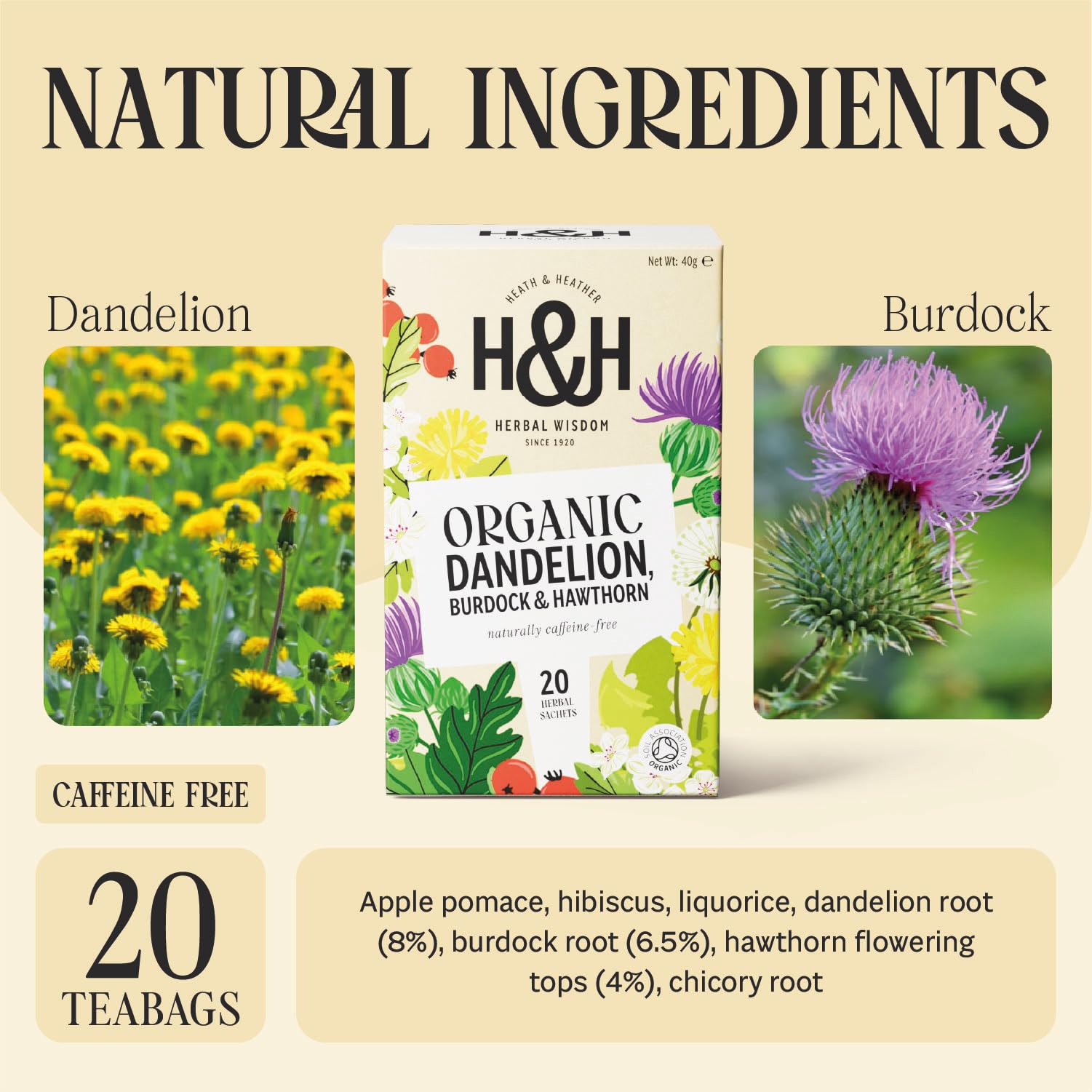 Heath & Heather Organic Dandelion, Burdock & Hawthorn Tea - Detox & Heart Health | 20 Count