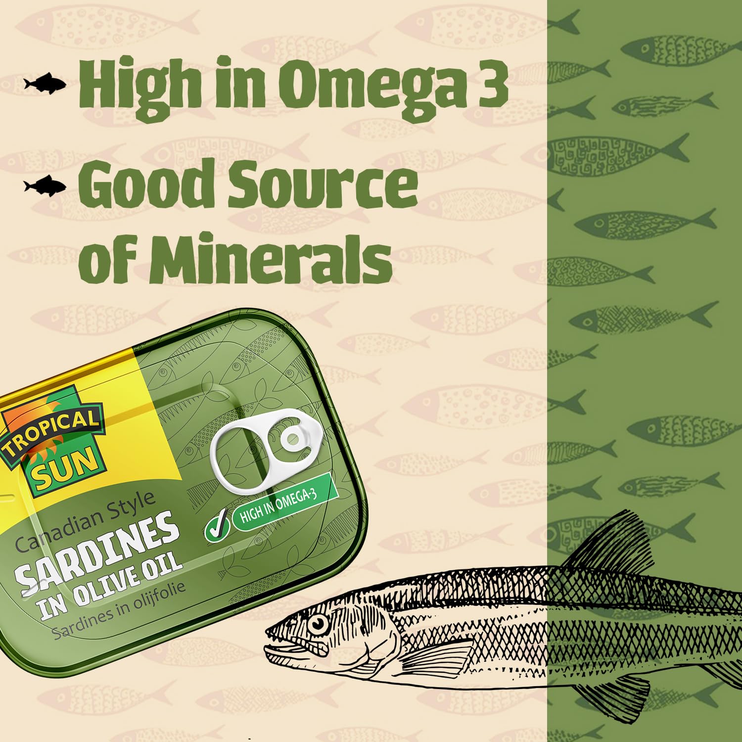 Tropical Sun Canadian Style Sardines in Olive Oil - 12 Pack of 106g Tins | High Protein