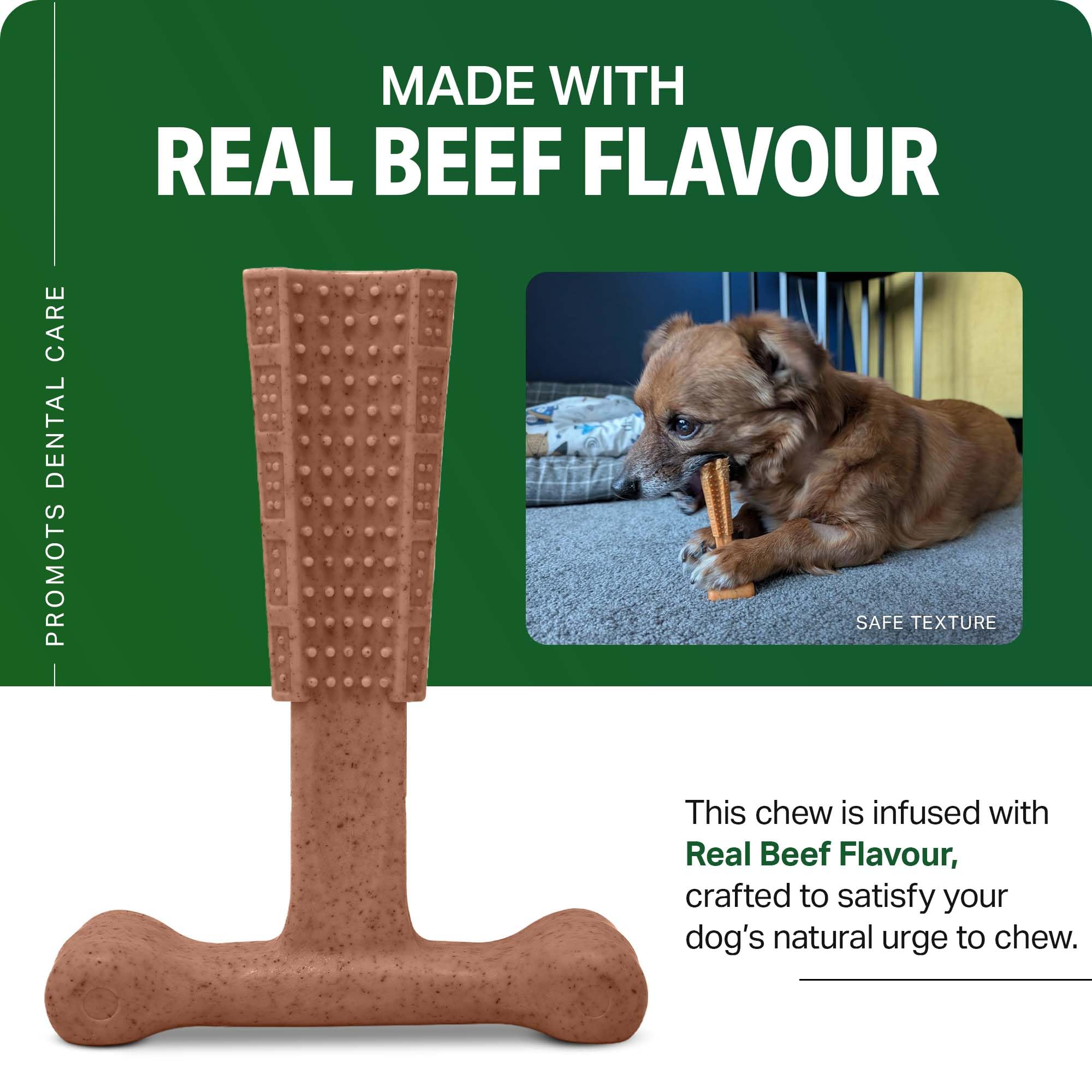 Bamboodles T Bone Dog Chew for Medium Dogs | Beef Flavor | Durable Bamboo & Nylon 4