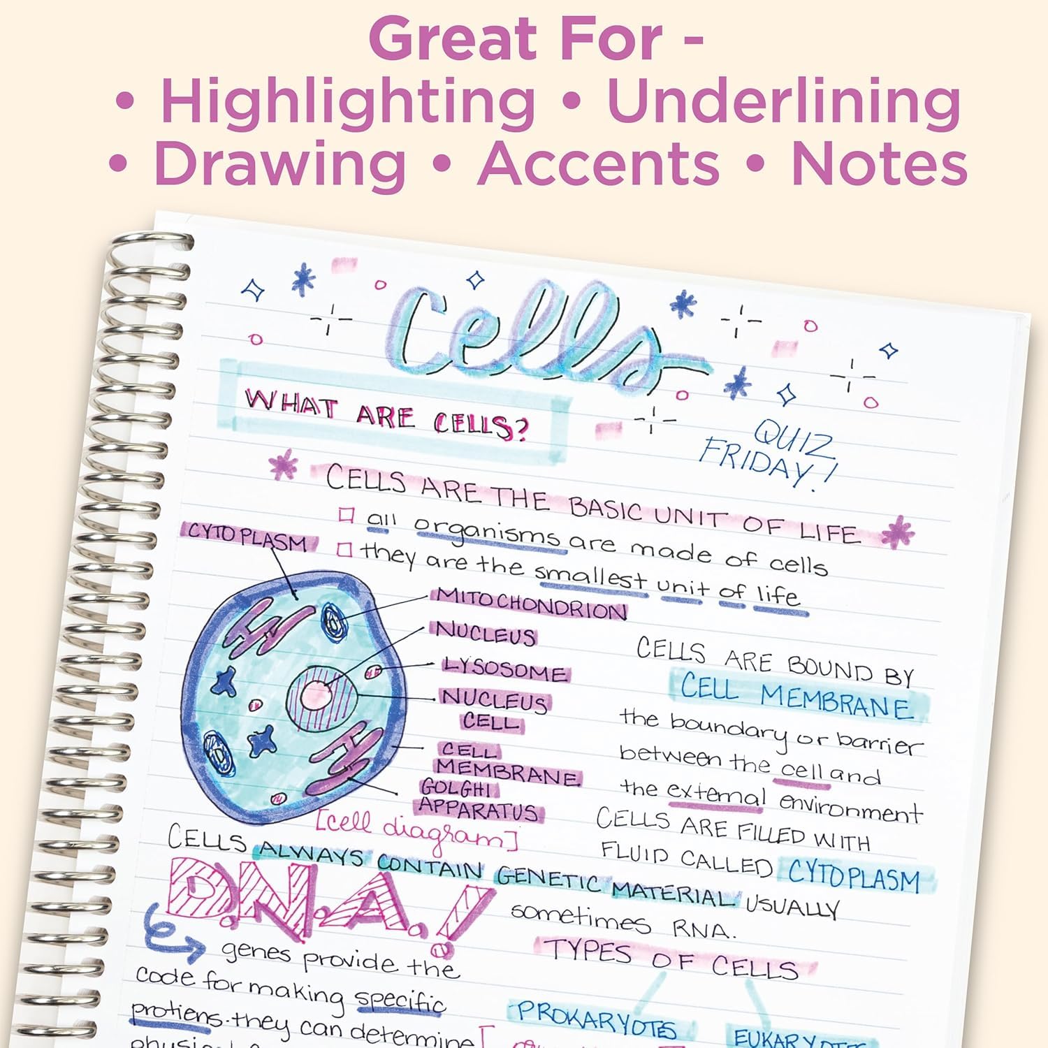 Zebra Pen MILDLINER Dual Tip Highlighter Journaling Set - 14 Count | Water Resistant Ink | Fine & Broad Tips 7