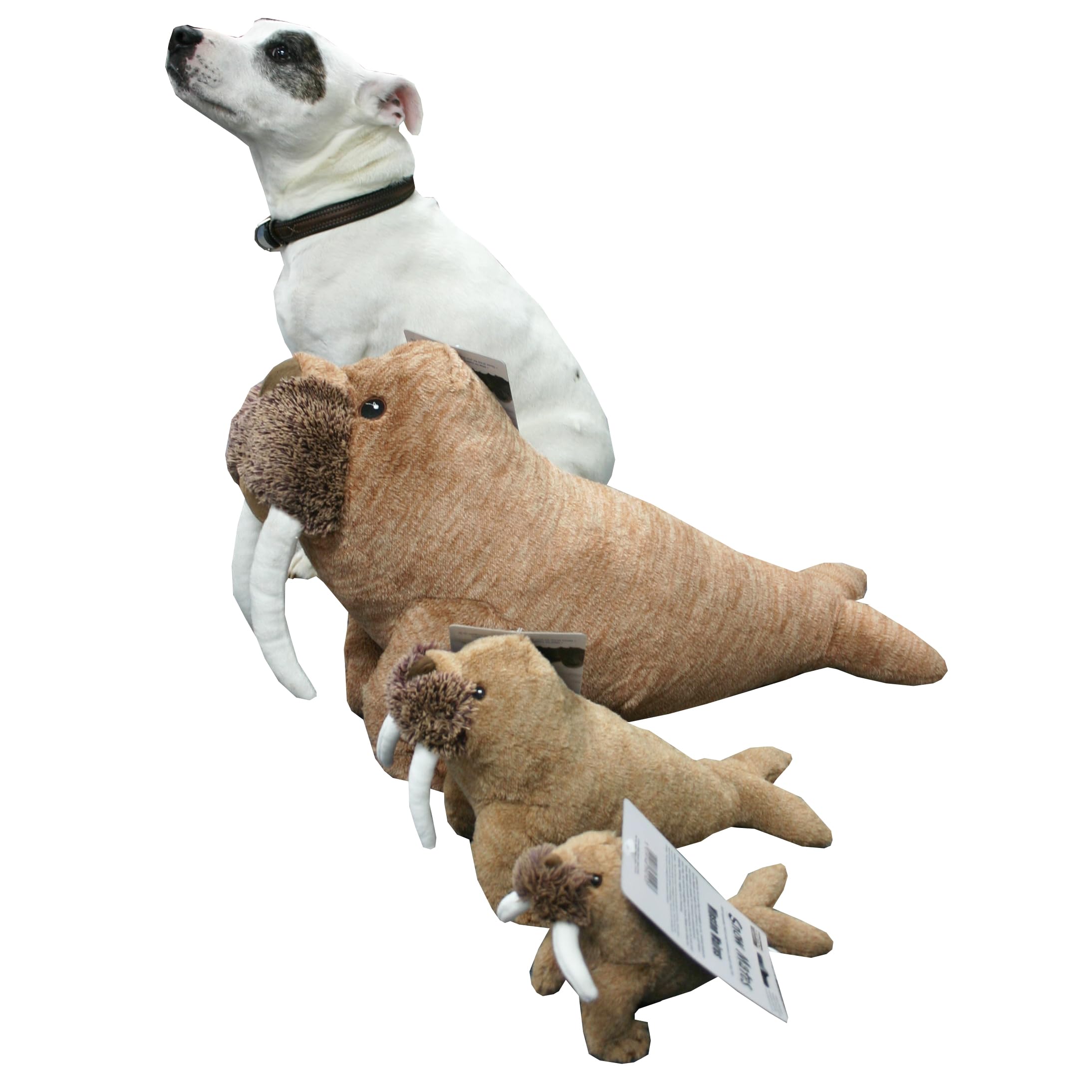 Animal Instincts Winston Walrus Squeak Toy - Small, Ultra Soft Fabric | Machine Washable 4
