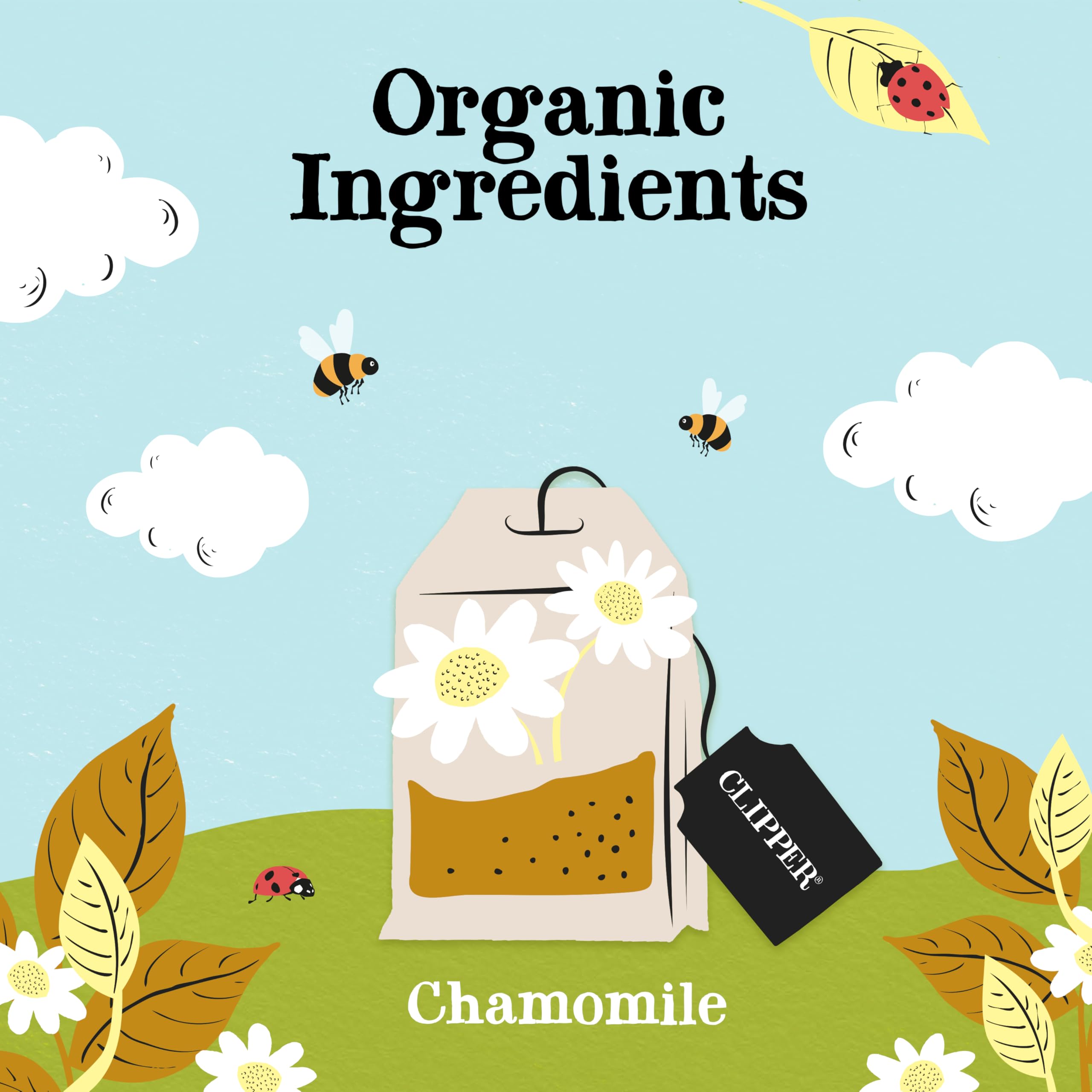 Clipper Natural, Fair & Delicious Organic Chamomile Herbal Tea Bags - 250 Count, Caffeine Free 3