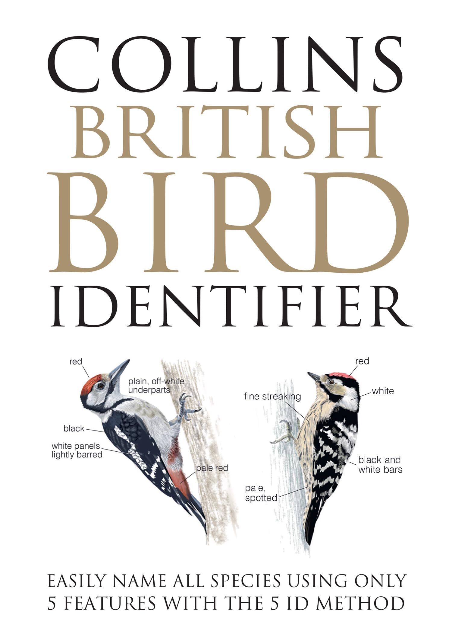 William Collins Collins British Bird Identifier - Hardcover Guide by Jeff Baker & Paul Stancliffe