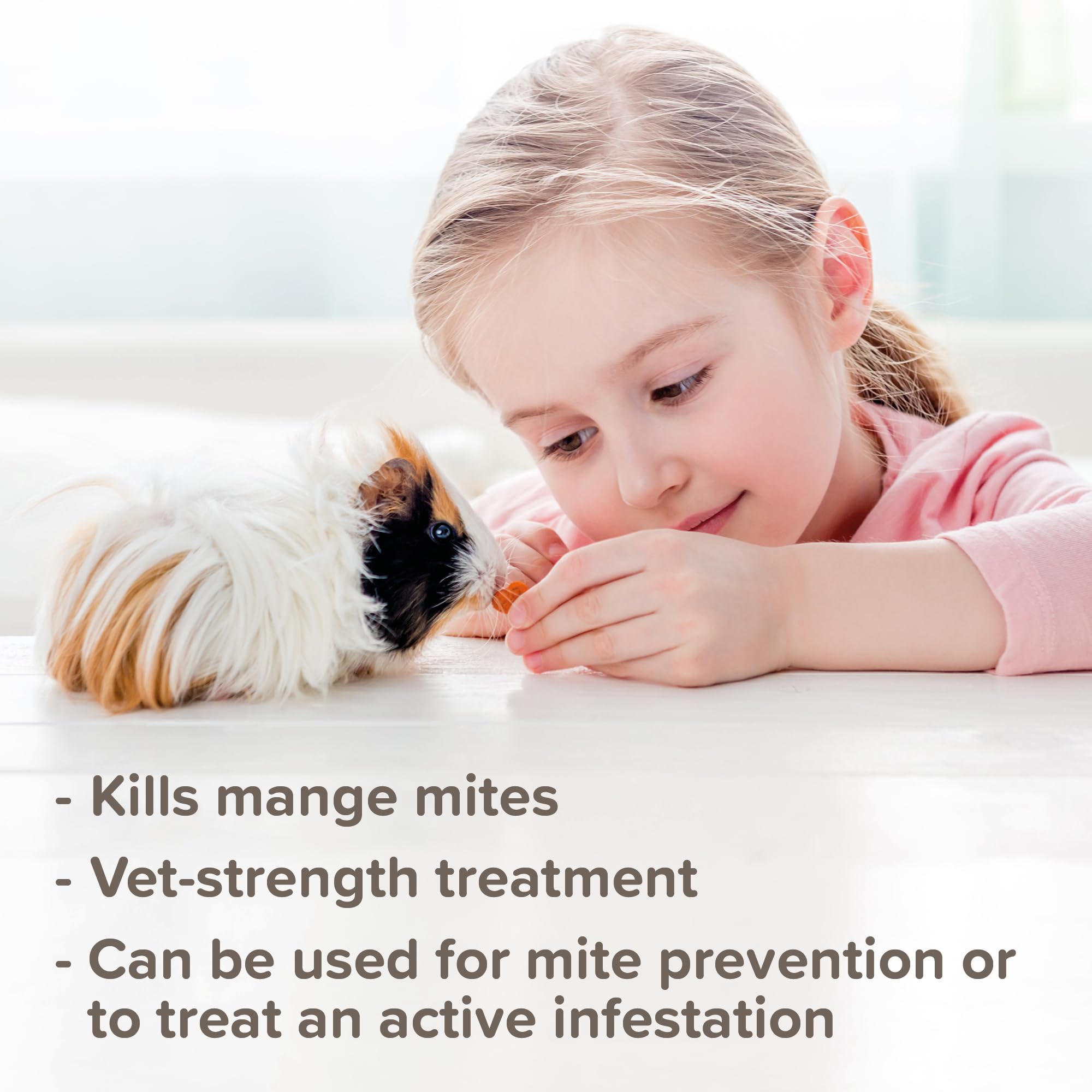 Beaphar Anti-Mange Spray for Small Animals - Kills Mites & Prevents Infestation | 75ml Liquid 3