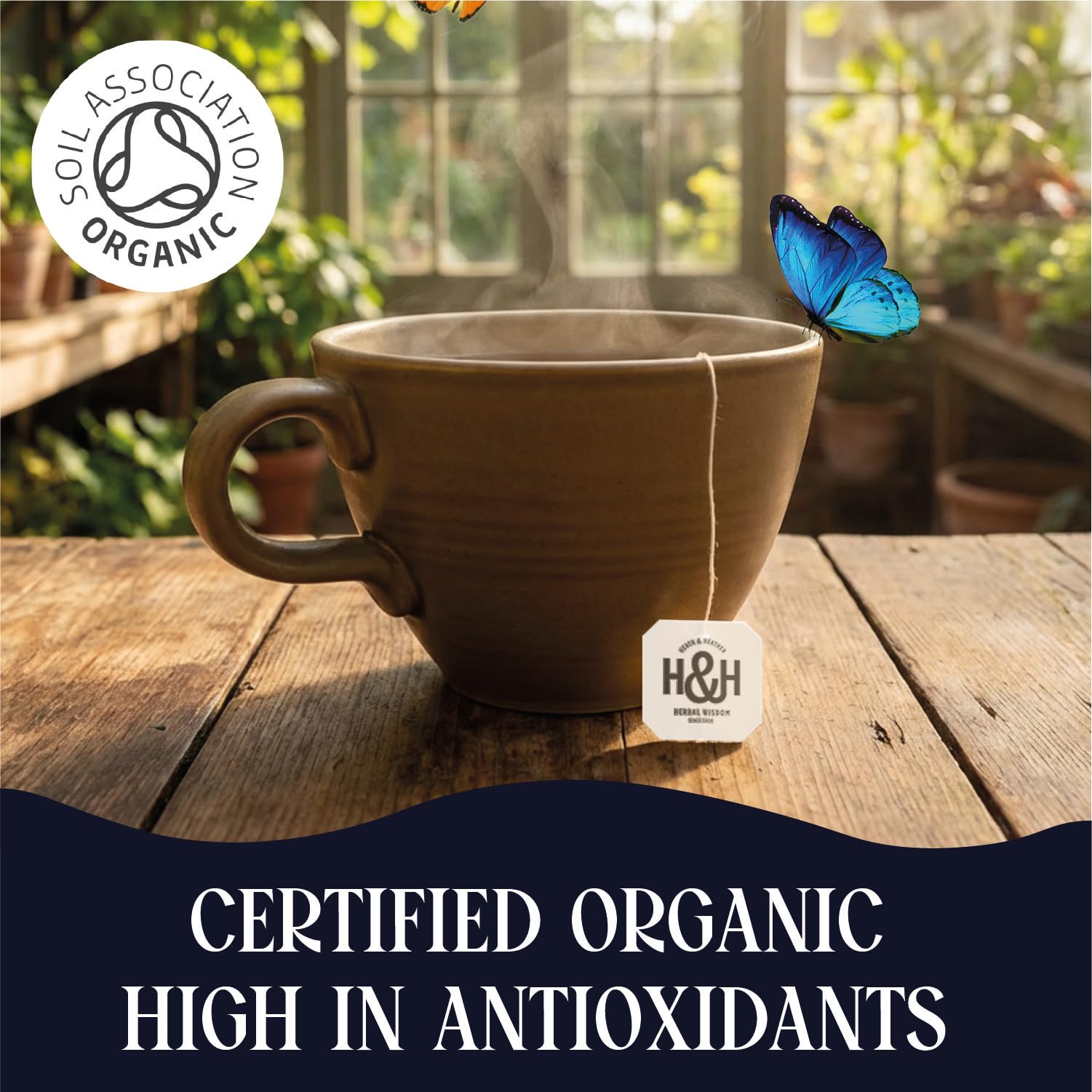 Heath & Heather Organic Soft & Sleepy Night Time Herbal Tea Bags - 6 Packs of 20 Count | Caffeine-Free 5