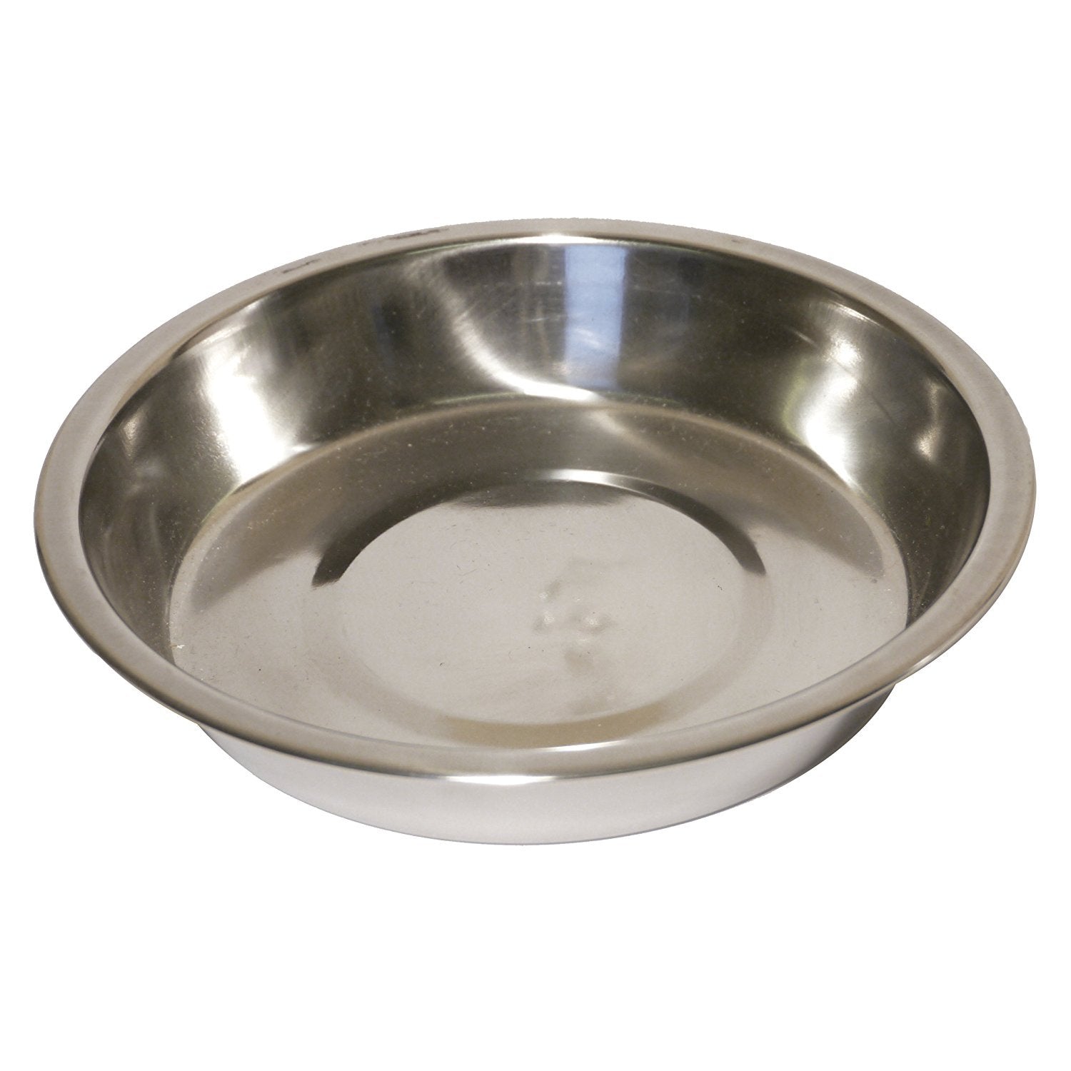 colooutlet My Pet Dog Life Stainless Steel Taper Bowl - 5-inch Diameter for Spaniels | Hygienic 3