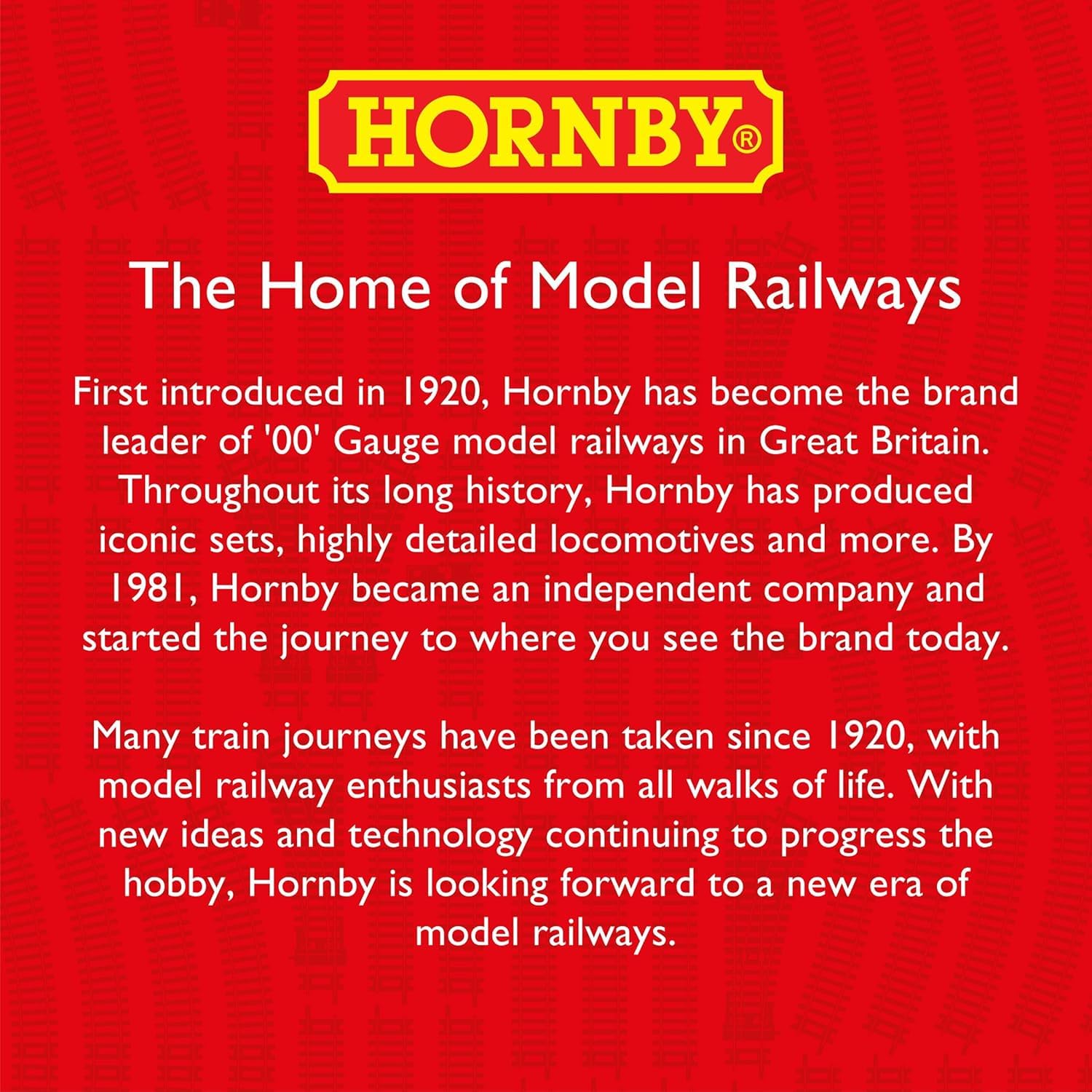 Hornby R7168 Ballast - Basaltic Rock Scenic Material for OO and TT Gauge Model Railways | 1000g 4