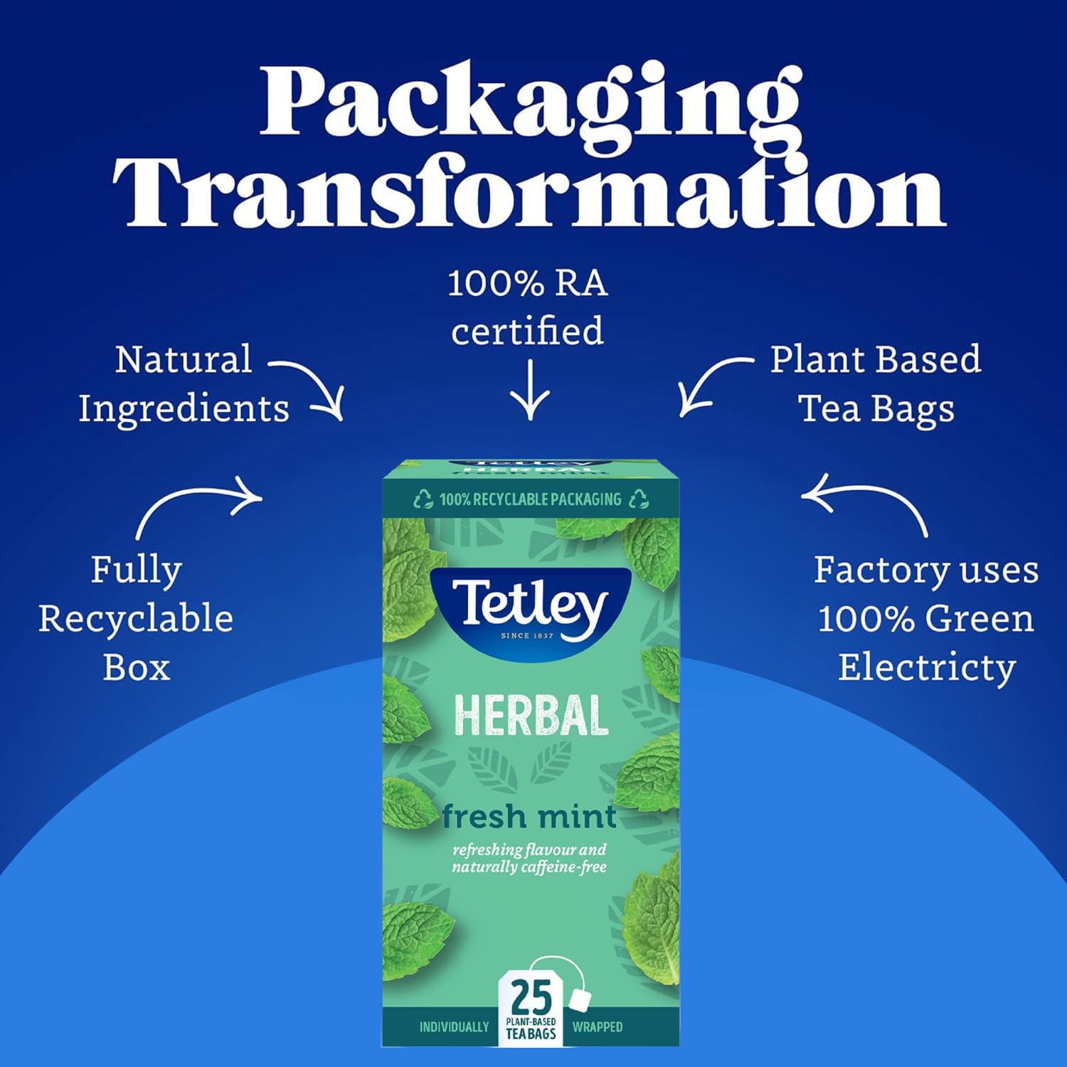 Tetley Frische Minze Teebeutel - Pfefferminze &amp; Grüne Minze Kräutermischung - 25 Beutel 7