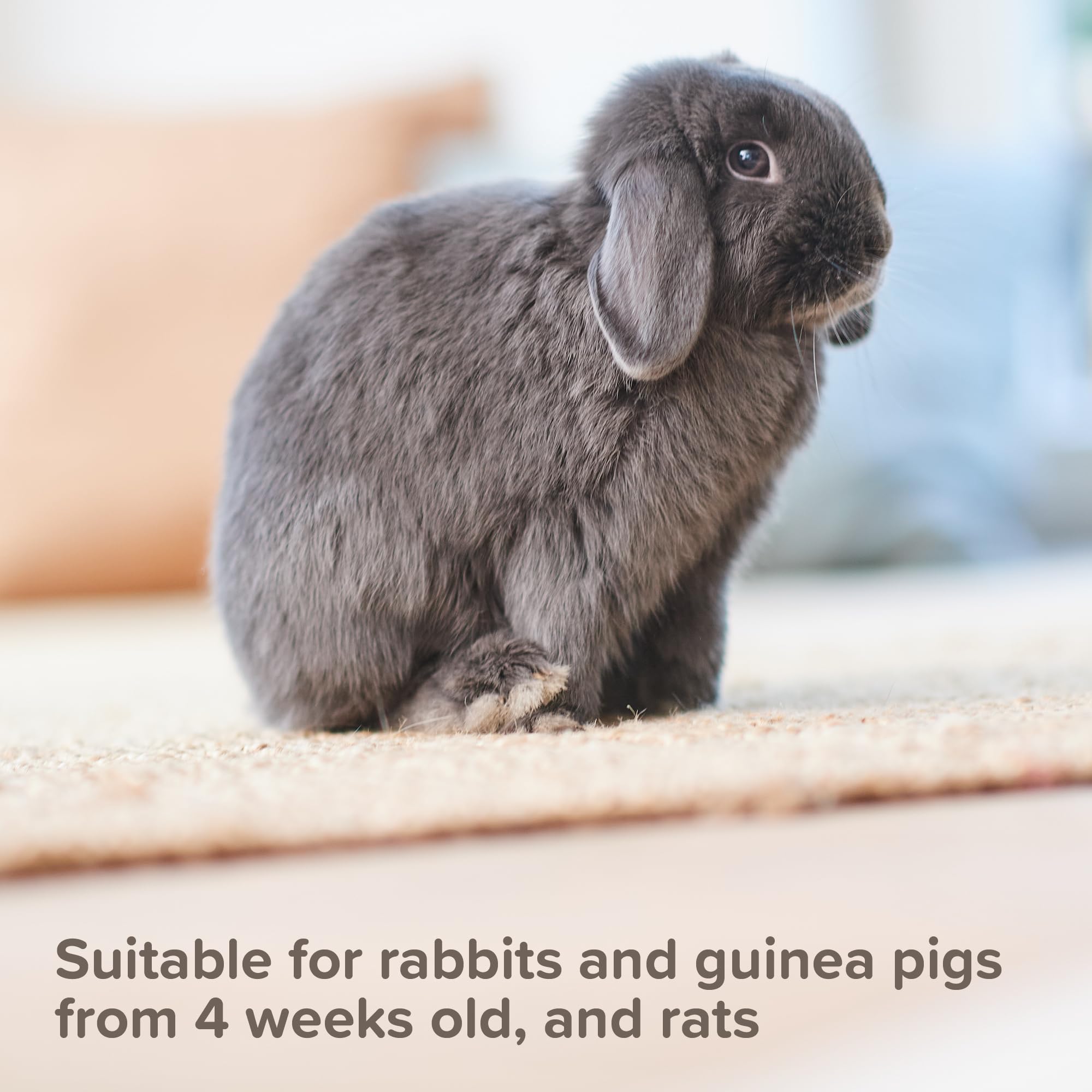 Beaphar Anti-Mange Spray for Small Animals - Kills Mites & Prevents Infestation | 75ml Liquid 4