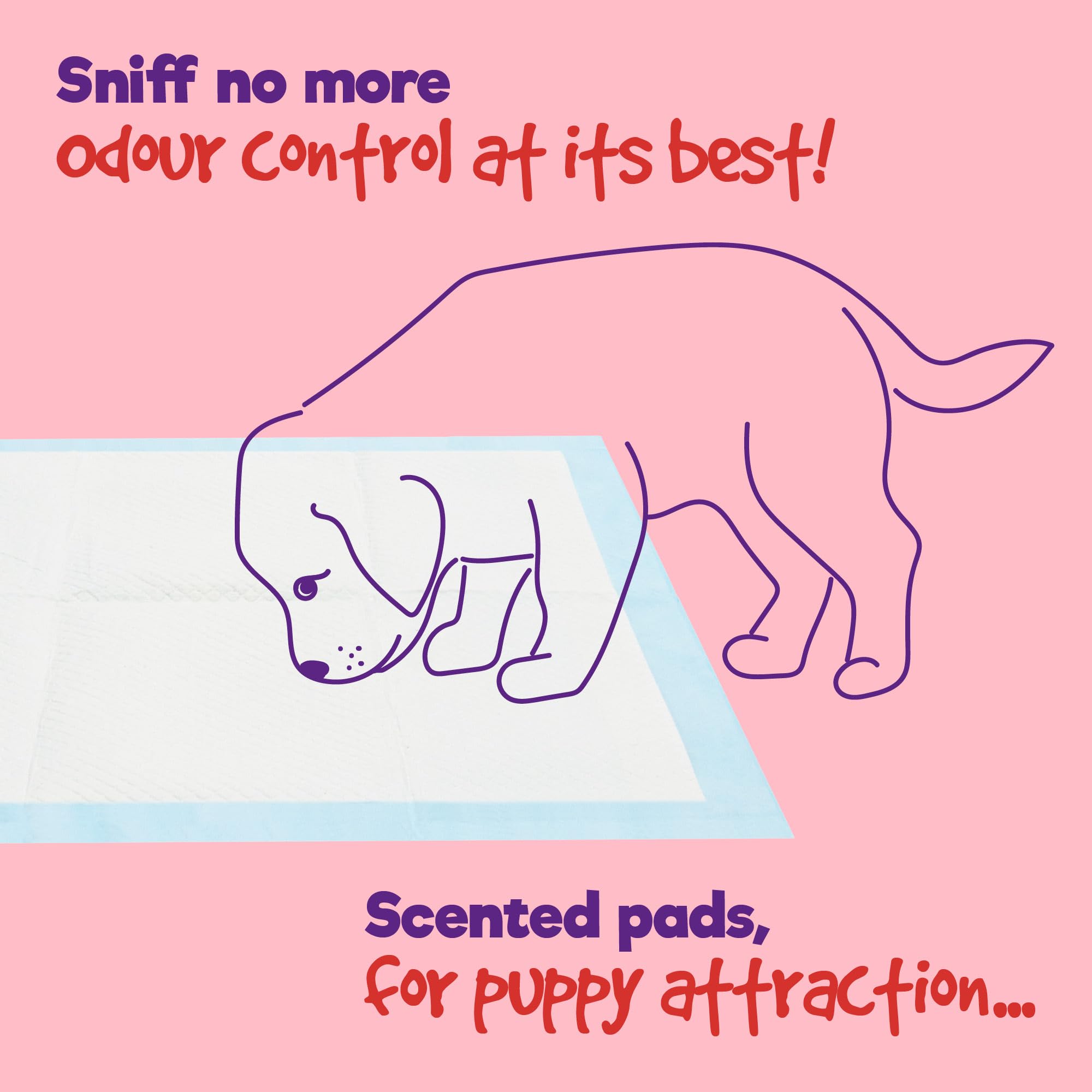 Petlicity Disposable Training Pads, Small (45x60cm), 50 Pack - Highly Absorbent Puppy Pads 8