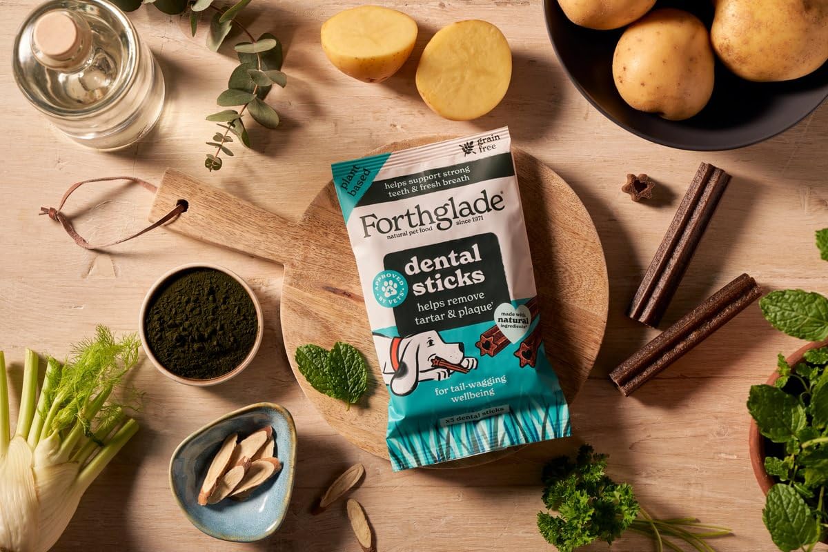 Forthglade Natural Dog Dental Sticks - Plant Based Mint Flavor | 10 x 185g Bags (50 Sticks Total) 5