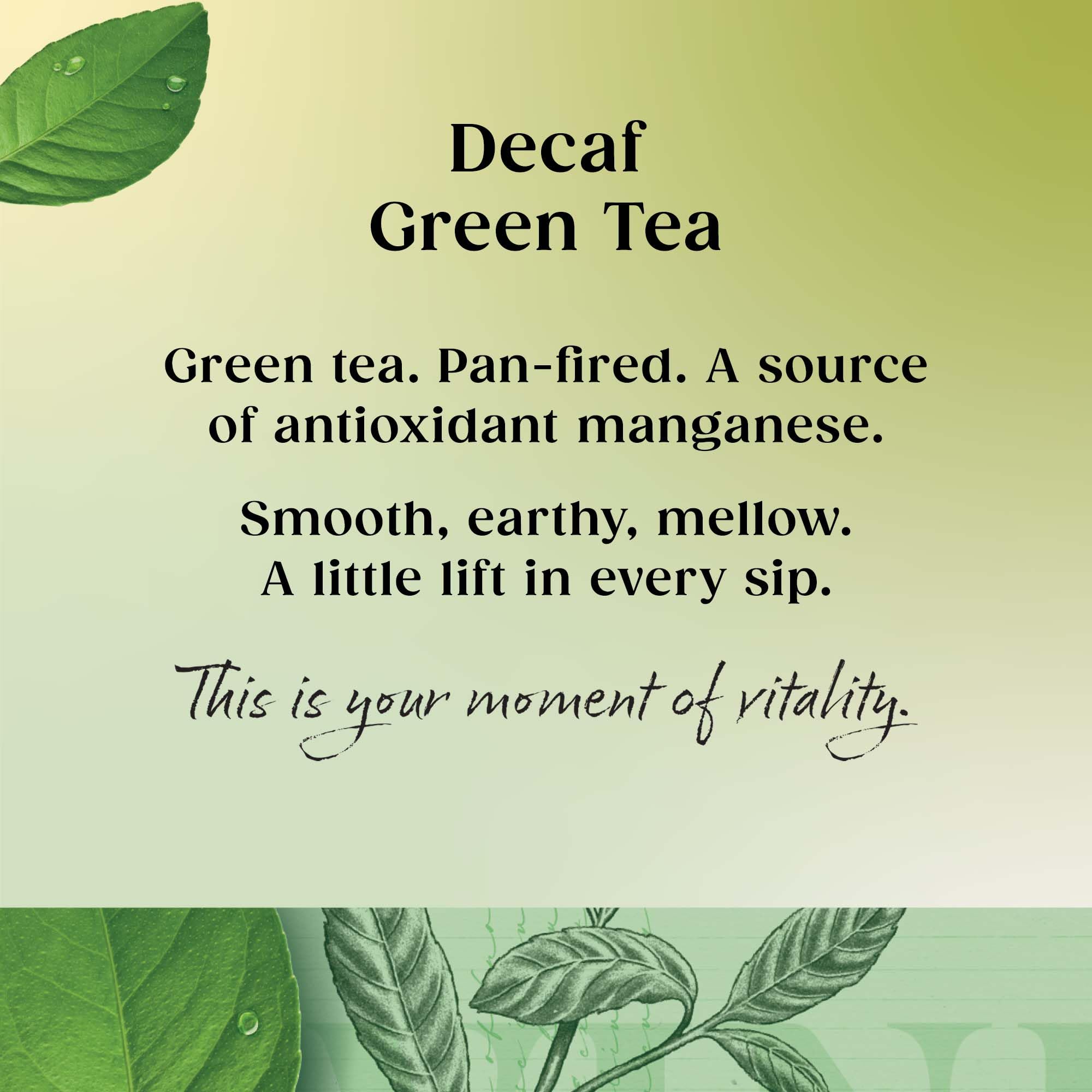Twinings Decaf Pure Green Tea - 20 Teabags | Antioxidant Support 3