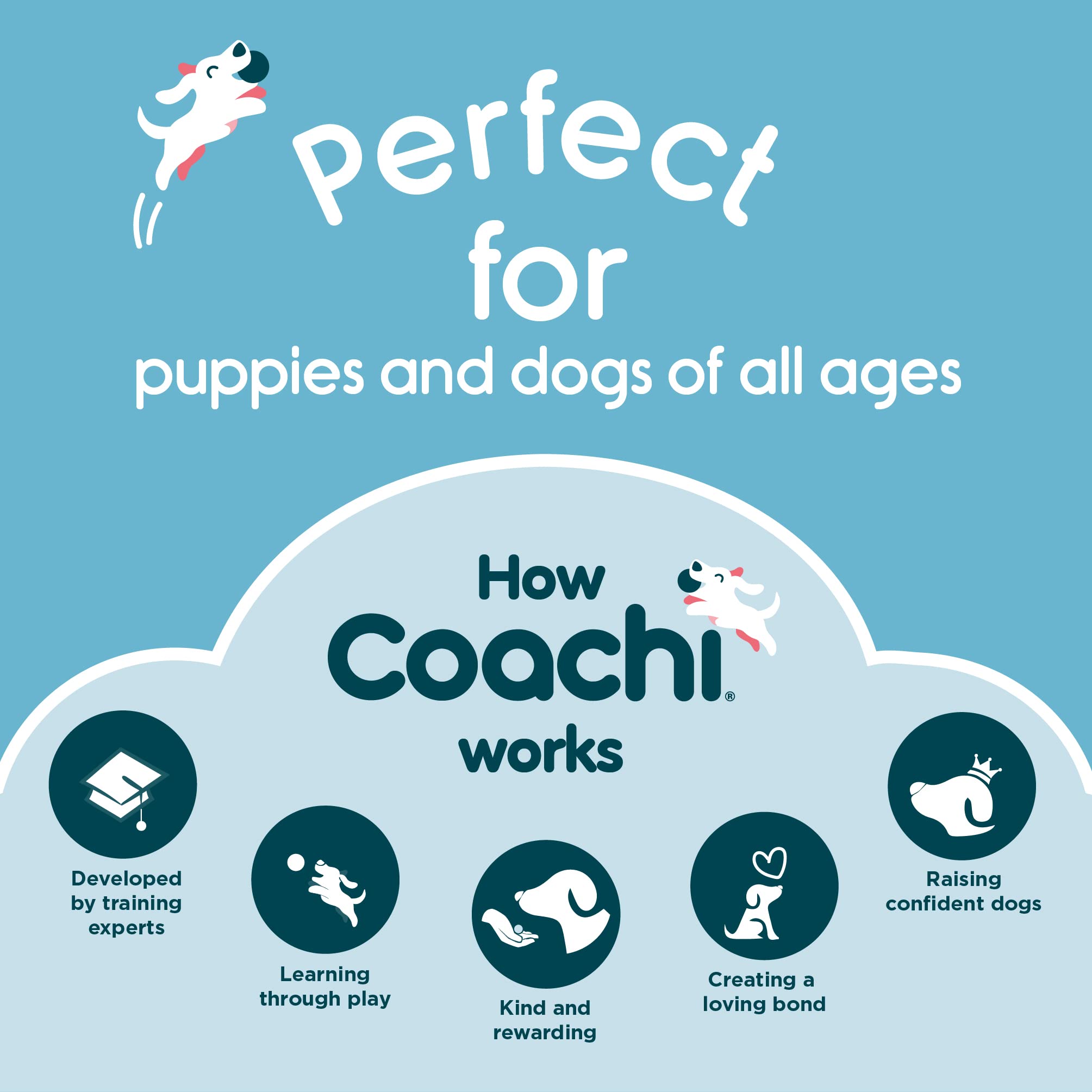 Coachi Train & Treat Bag - Generously Sized Treat Compartment | Secure Attachment | Neoprene 6