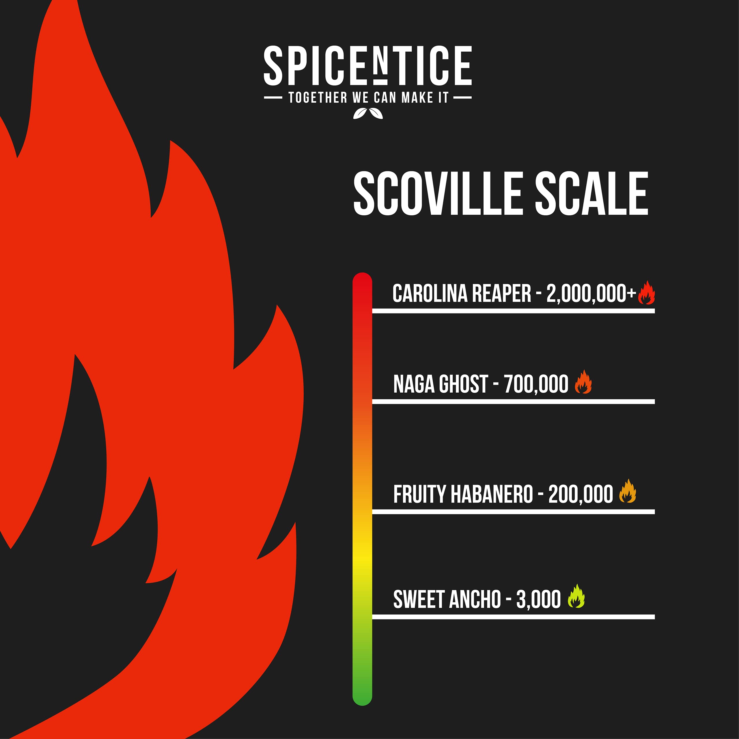 Spicentice Ltd Fruchtiger Habanero! Warmer Cayenne-Pfeffer – 100 % reine Habanero-Chili 3