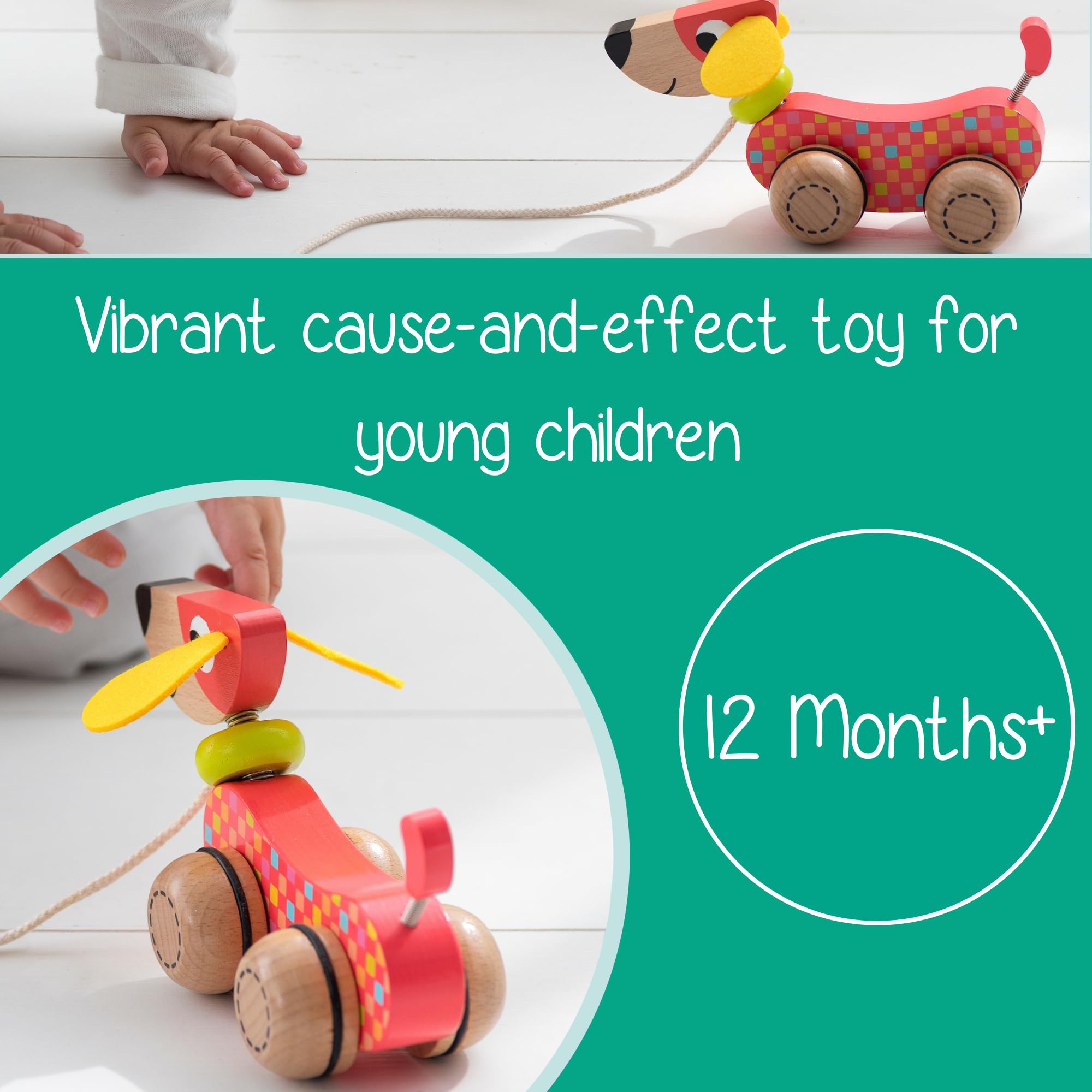 Goula Wooden Pull-Along Dog Toy 53459 | Ages 12 Months+ | Encourages Walking 5
