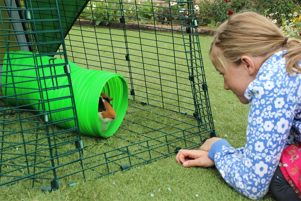 Snugglesafe All Weather Flexible Bunny Warren Fun Tunnel for Small Animals | 76cm Length | Green Plastic 3