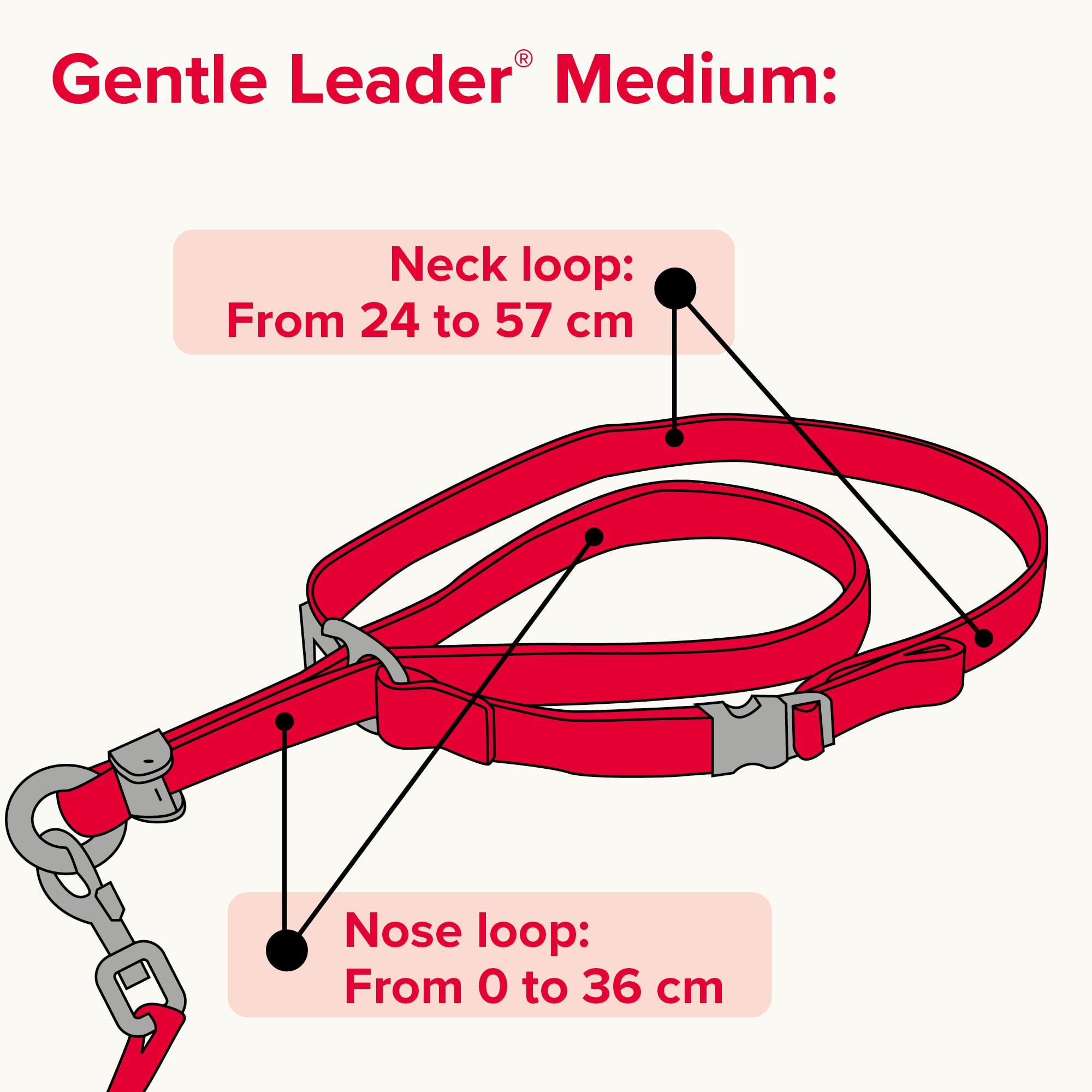 Beaphar Gentle Leader Head Collar - Medium Dog Training Aid for Stopping Pulling | Red 7