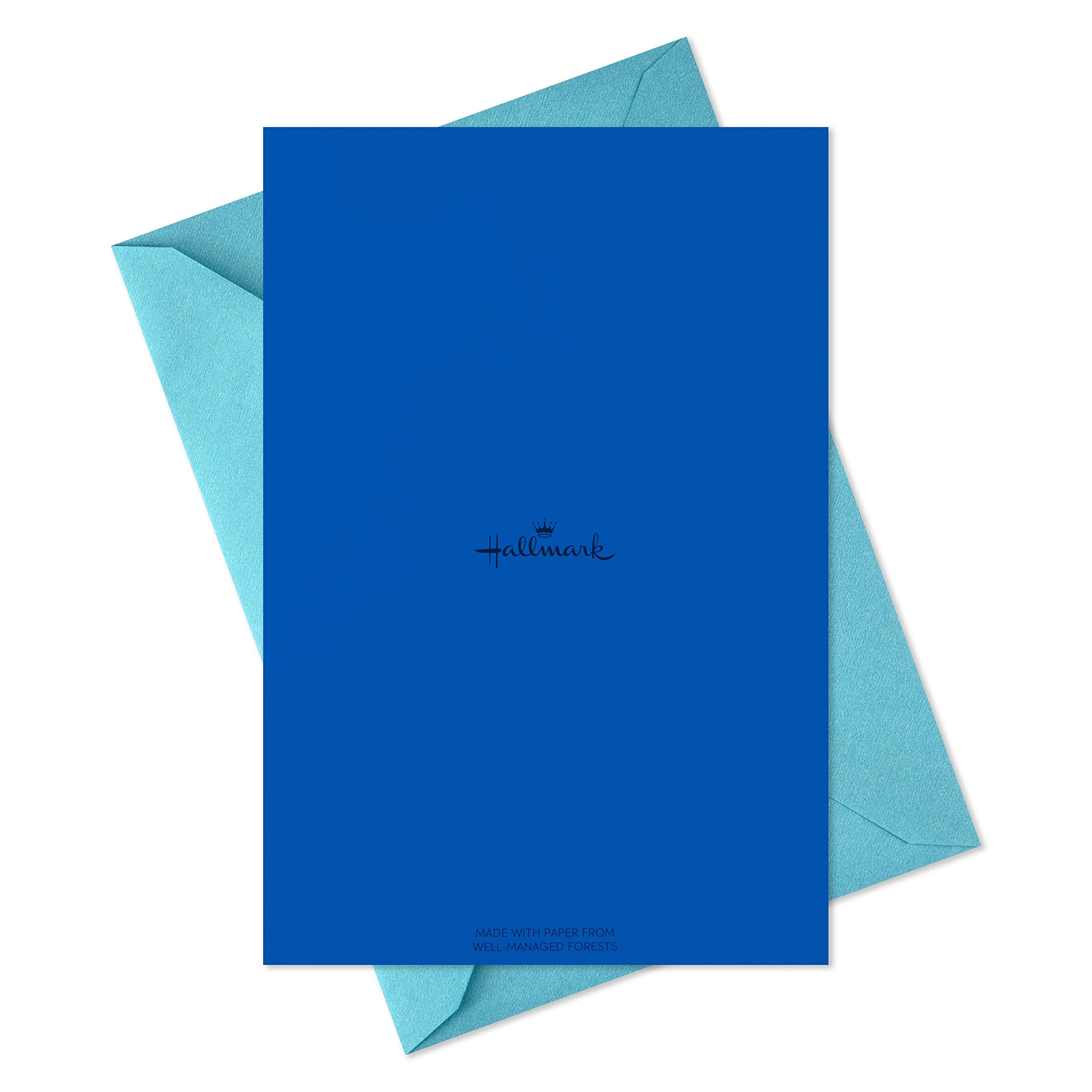 Hallmark Kids Birthday Cards Assortment - 48 Cards, 6 Designs, Blank Inside | 3.75" x 5.2" 7