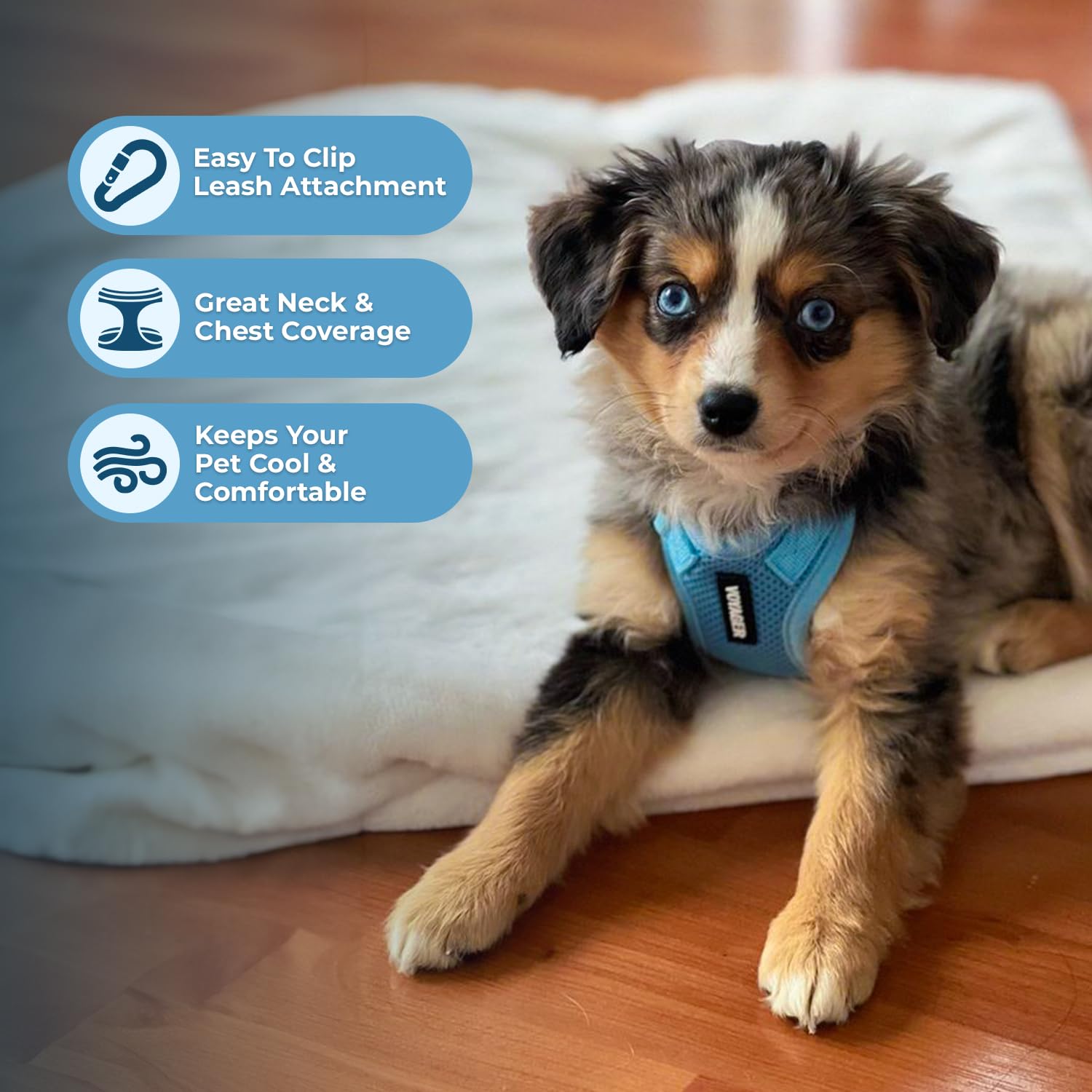 Best Pet Supplies Voyager Step-in Lock Pet Harness - All Weather Mesh, Adjustable, Baby Blue, Size M 3