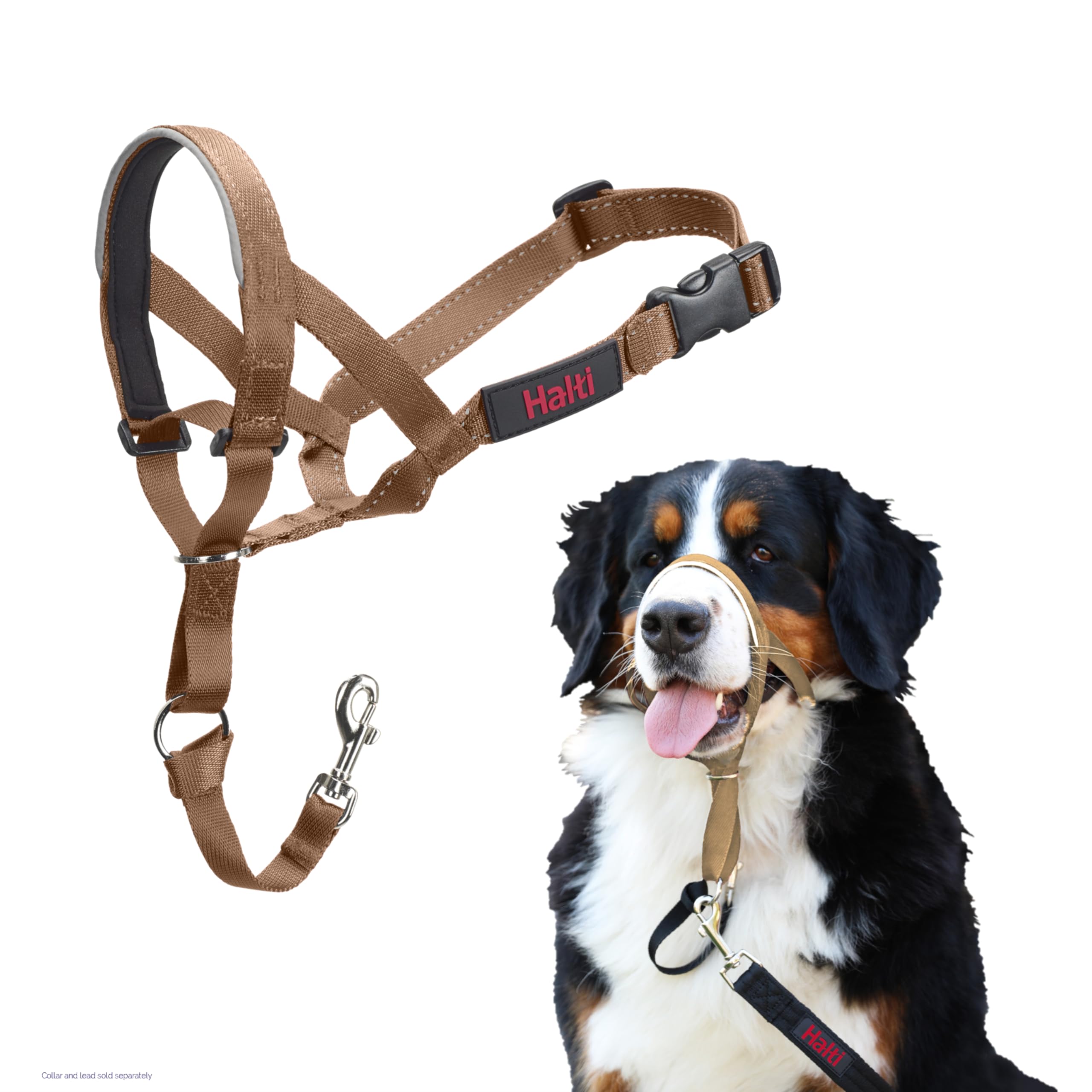 Halti Headcollar - Stops Pulling for Large Dogs | Reflective | Size 4 Desert Sand