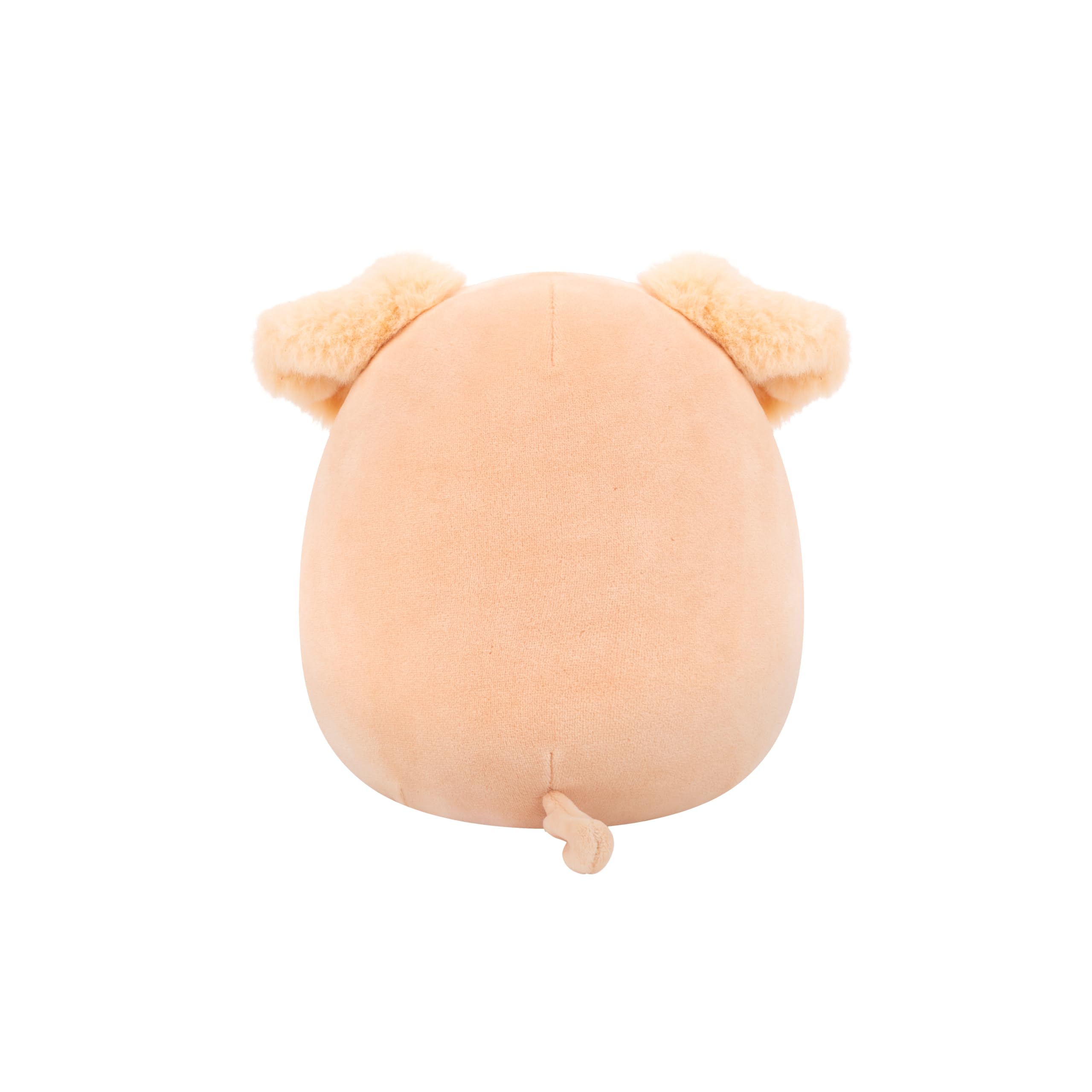Squishmallows Stevon the Golden Retriever 7.5-Inch Plush with String Lights - Soft Stuffed Animal for Kids 3+ 6