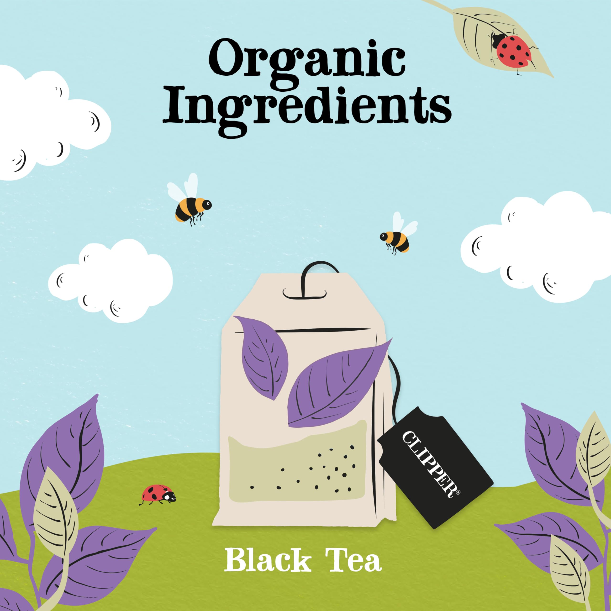 Clipper Natural, Fair & Delicious Organic Earl Grey Tea Bags - 50 Count String & Tag 3