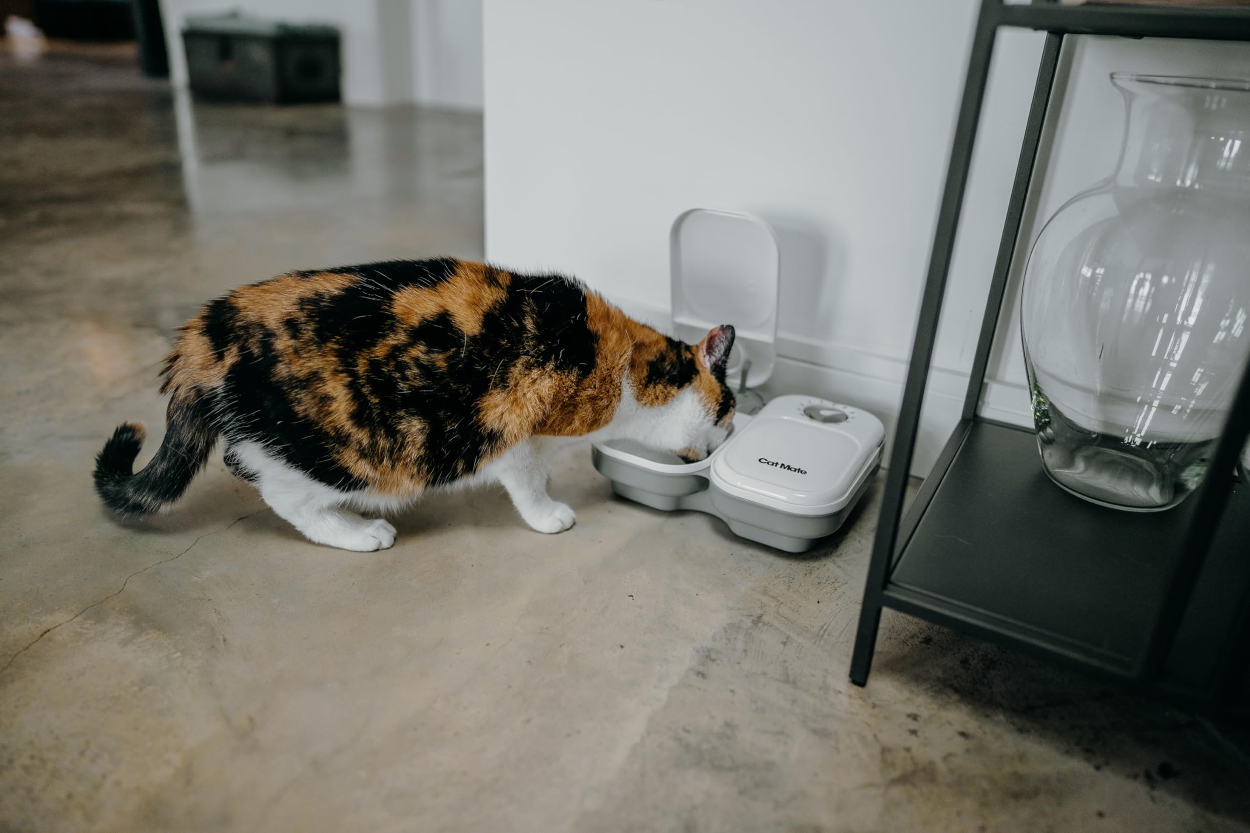 Cat Mate C200 2 Meal Automatic Pet Feeder with Timer and Ice Pack for Cats and Small Dogs - White 3
