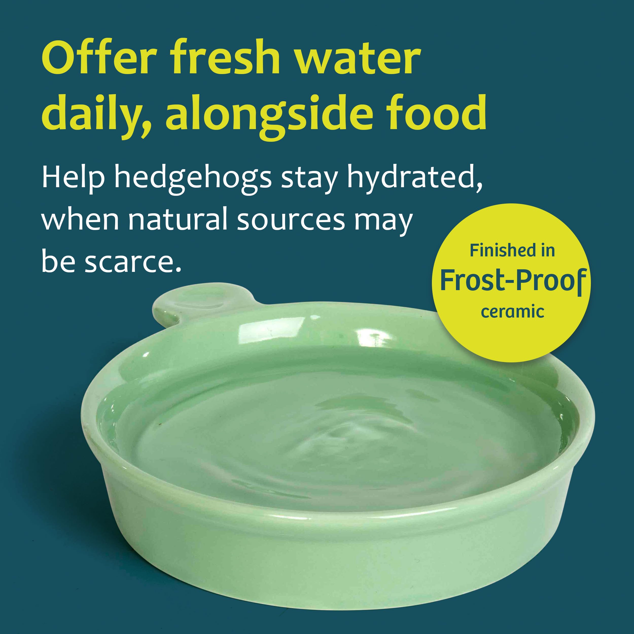 Jacobi Jayne Weather-Resistant Ceramic Hedgehog Water Dish | Green | 130x136mm 3