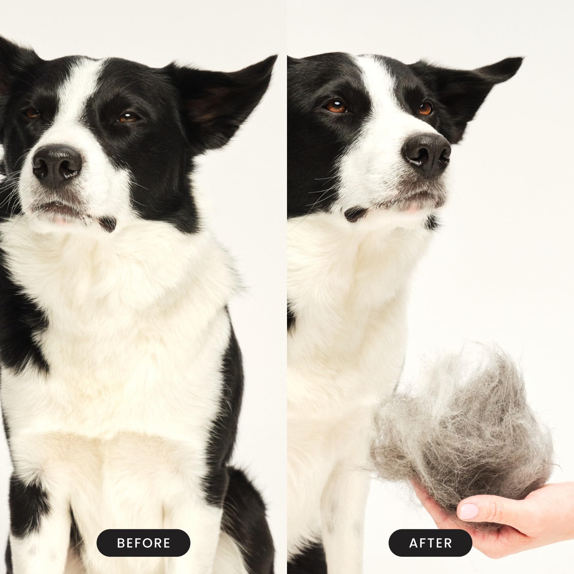 Tangle Teezer Pet Teezer De-Shedding Grooming Brush - Large, Mint & Pink | Dual-Tier Technology 5