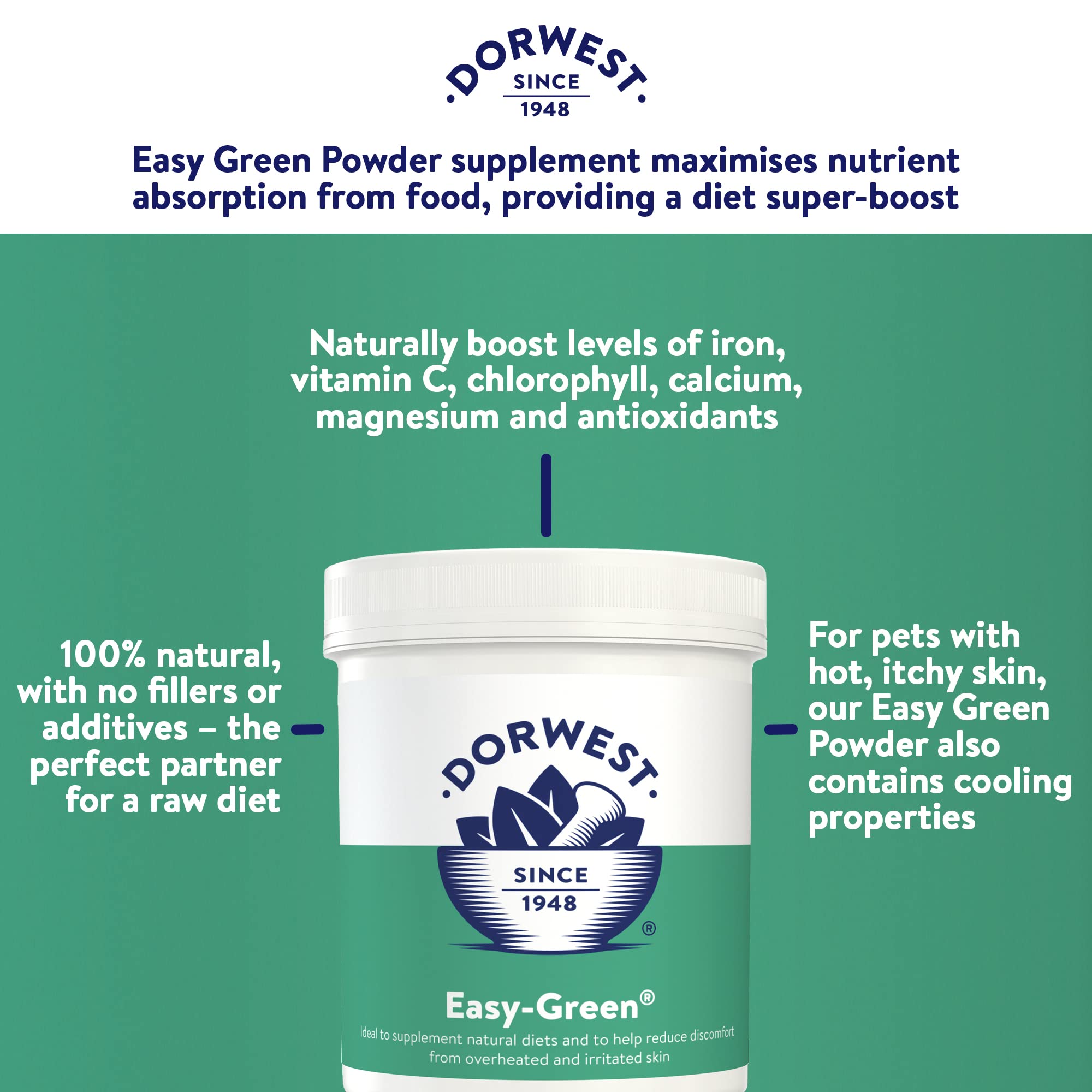 DORWEST HERBS Easy-Green Powder for Dogs - Super Green Raw Diet Supplement | 250g 3