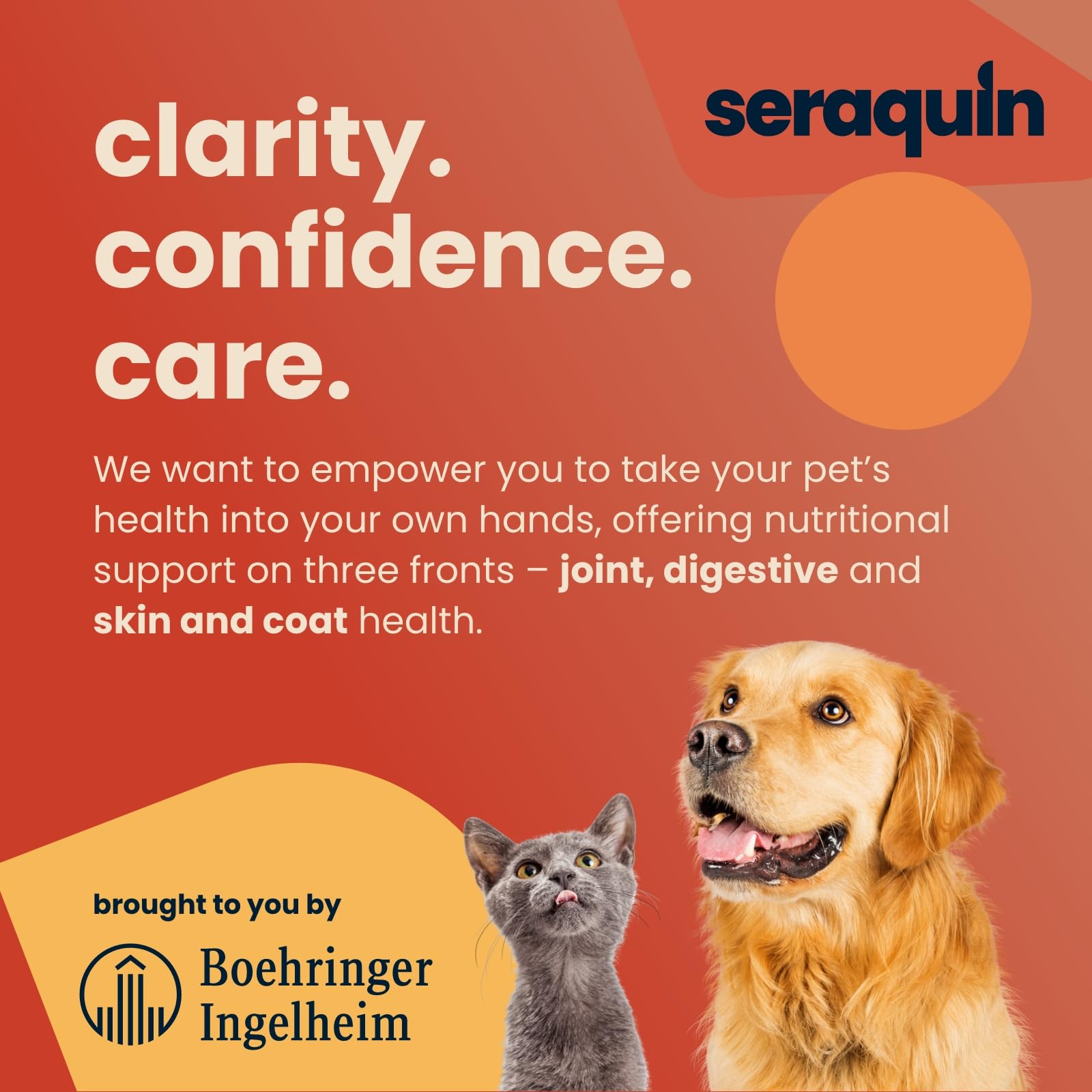 Seraquin Joint Supplement - 60 Chewable Tablets (800 mg) for Dogs | Supports Healthy Cartilage 5