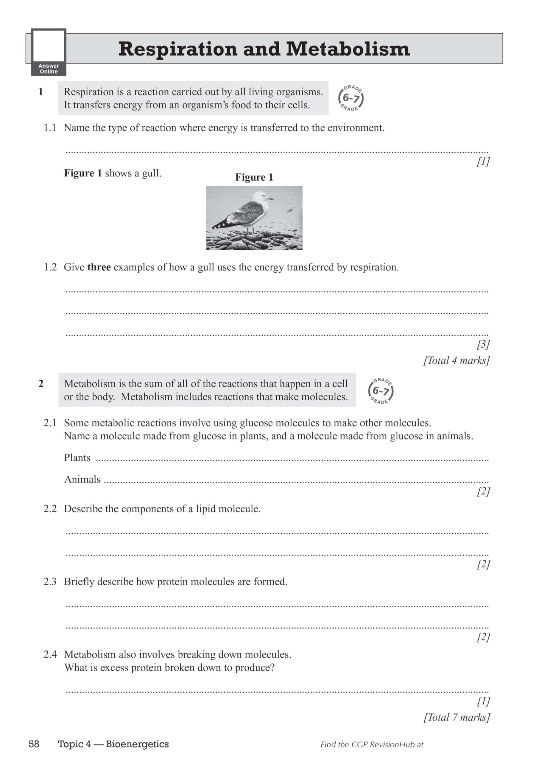CGP GCSE Biology AQA Exam Practice Workbook - Higher (9-1 Revision) | Includes Answers 6