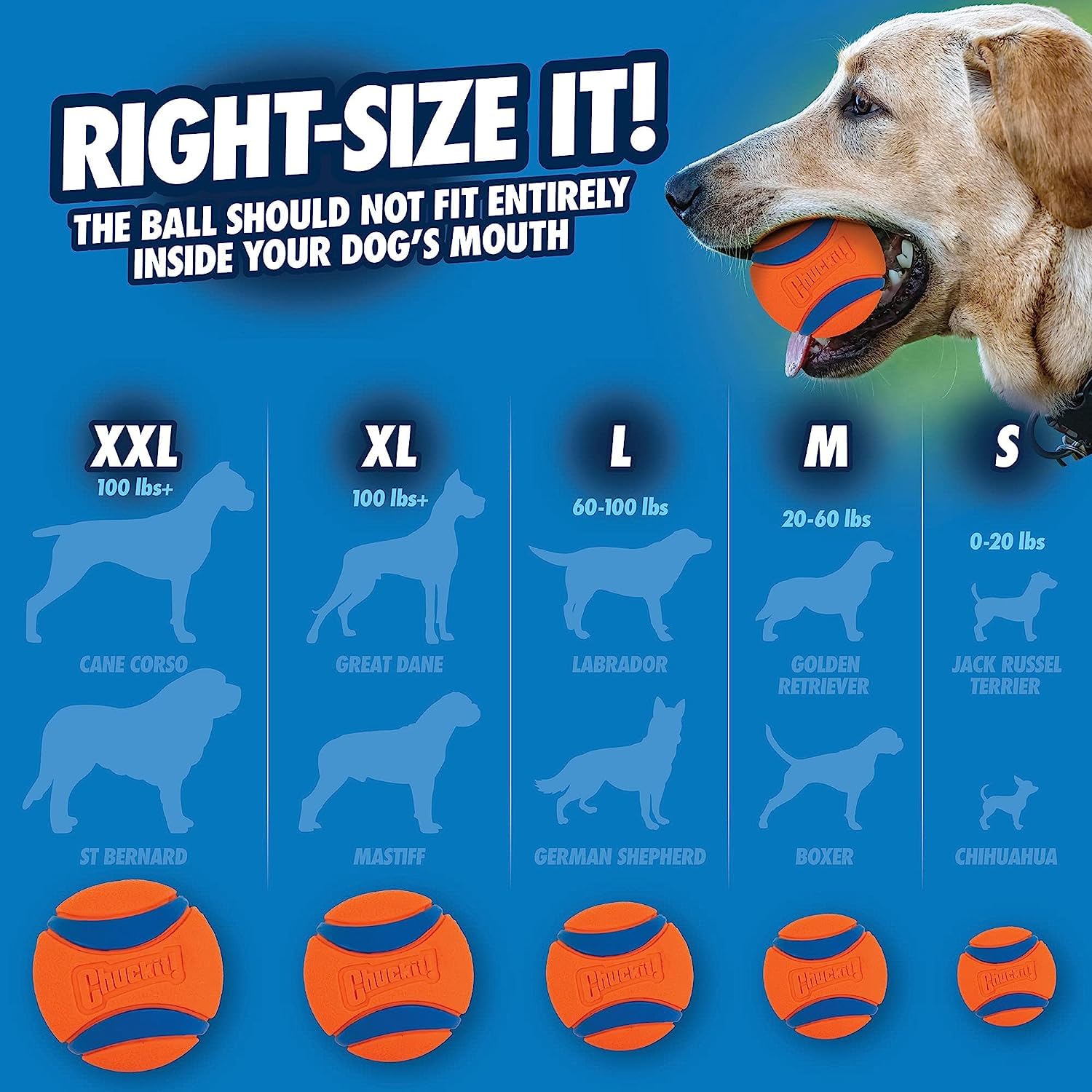 Chuckit! Ultra Tug Dog Toy - Durable Rubber for Tug of War | High Bounce | Small Size 6