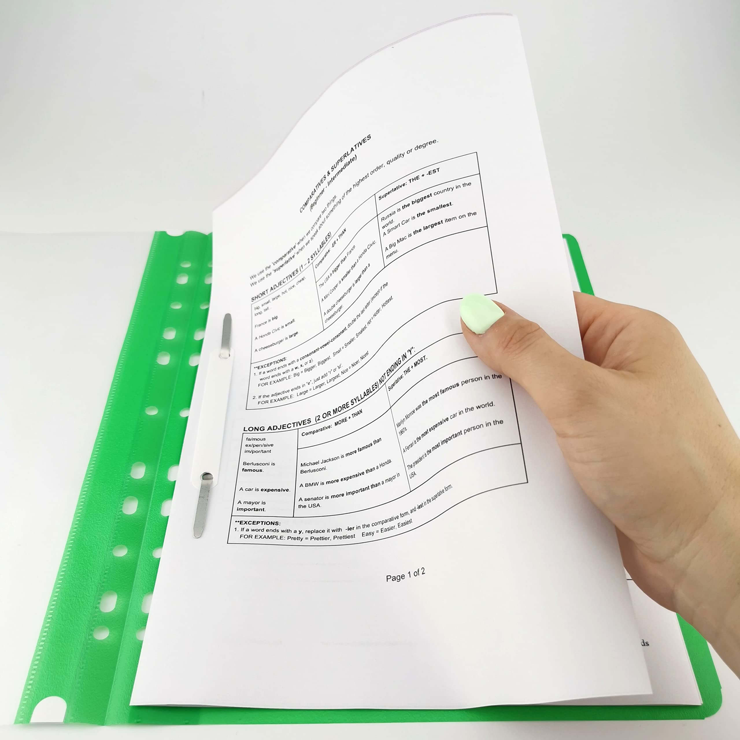 D.RECT A4 File Folders - Pack of 10 (2 per Colour) | Perforated Euro Style | Transparent PP Plastic