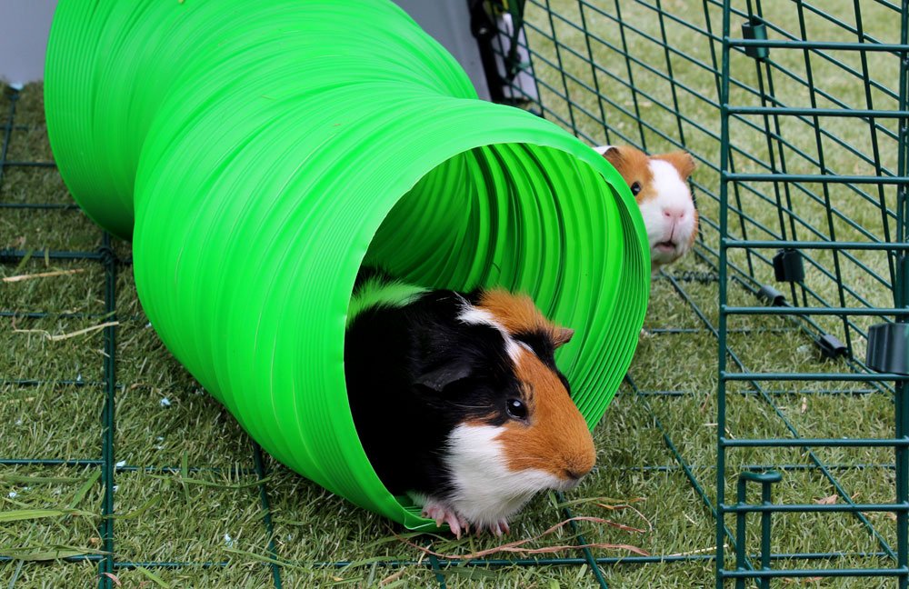 Snugglesafe All Weather Flexible Bunny Warren Fun Tunnel for Small Animals | 76cm Length | Green Plastic 4