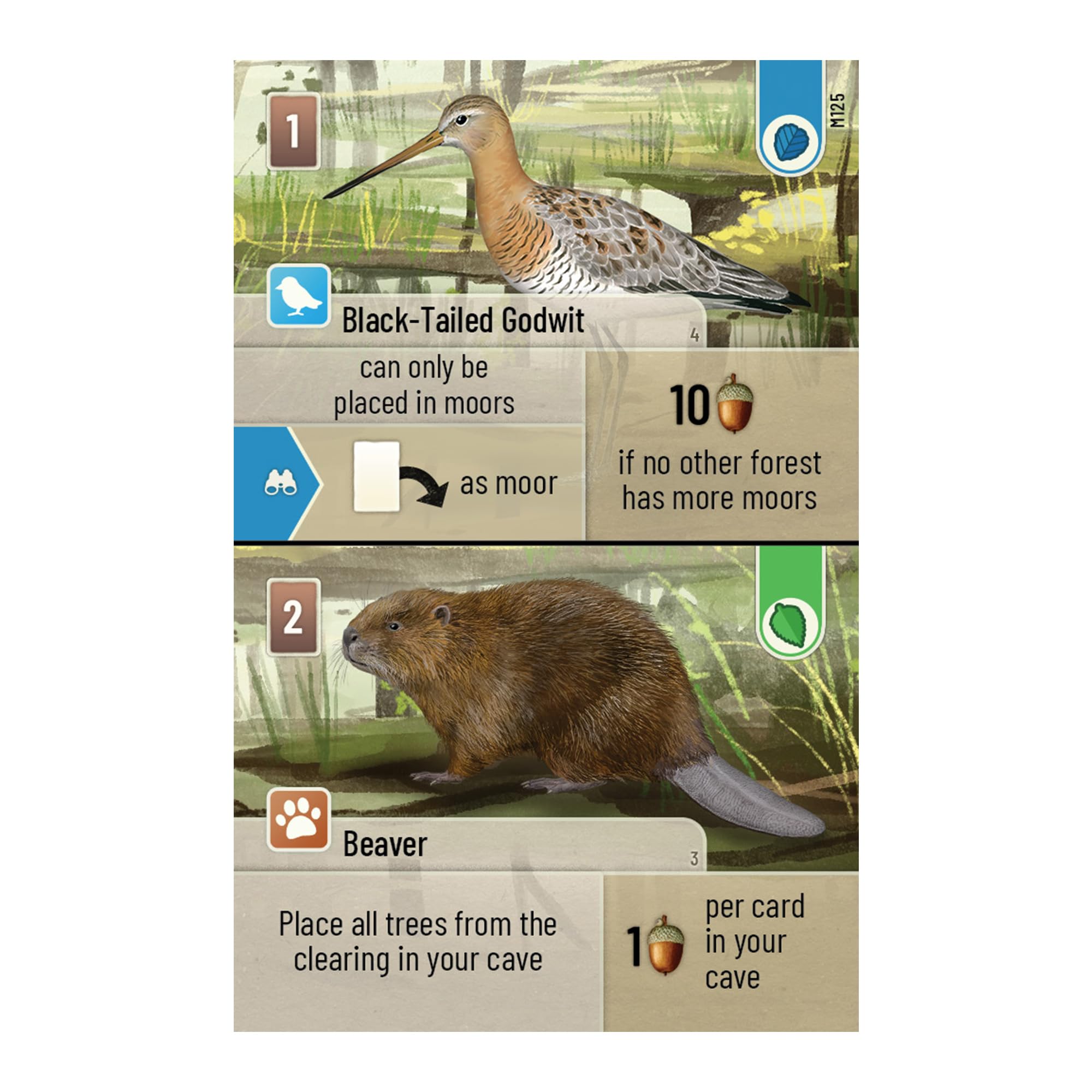 Asmodee Forest Shuffle: Dartmoor Family Card Game | Ages 10+ | 2-4 Players 6