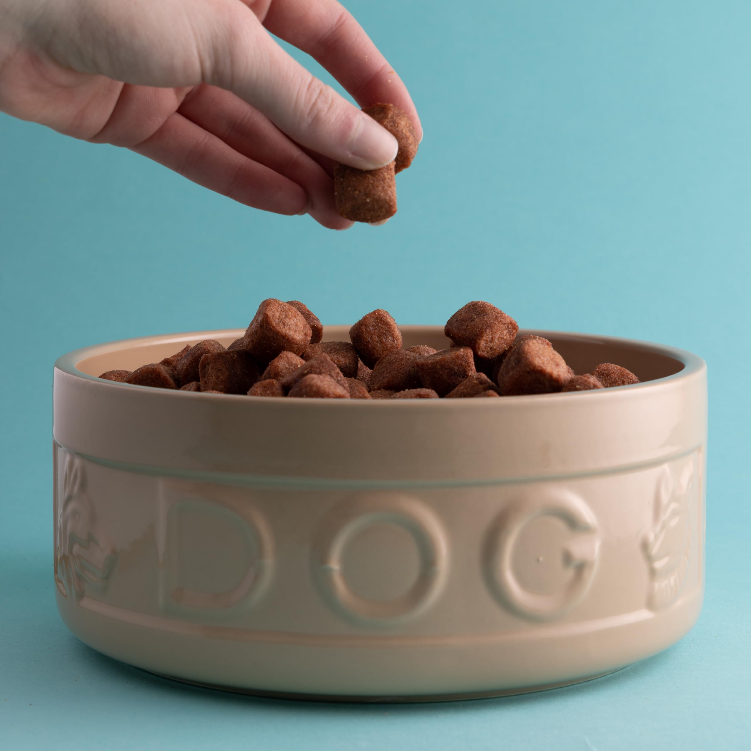 Mason Cash Cane Dog Bowl - 20cm Large Stoneware Pet Bowl | 1.6 Litre Capacity 3