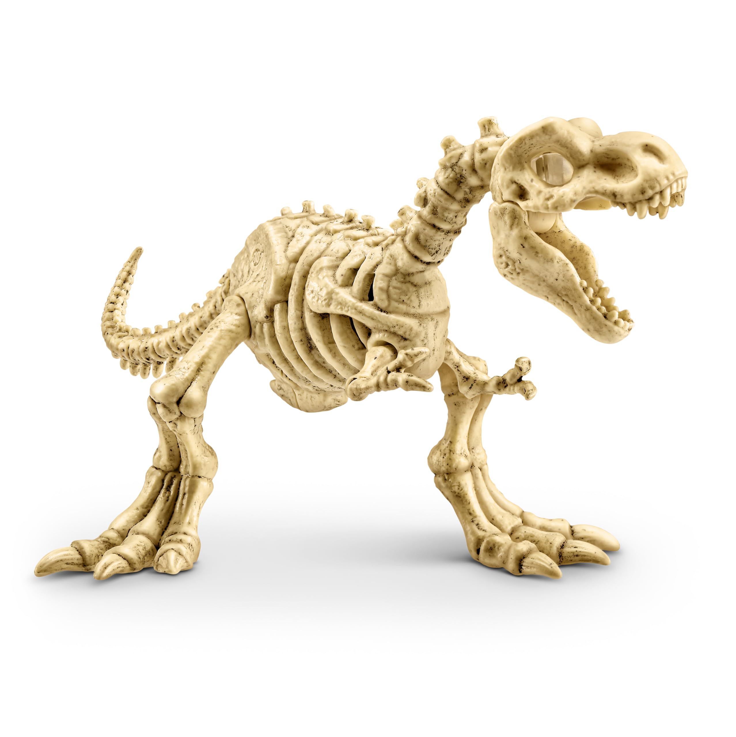 Robo Alive Fossil Find Amber Adventure T-REX Dinosaur Dig Kit | 20+ Surprises | Ages 6+ 4