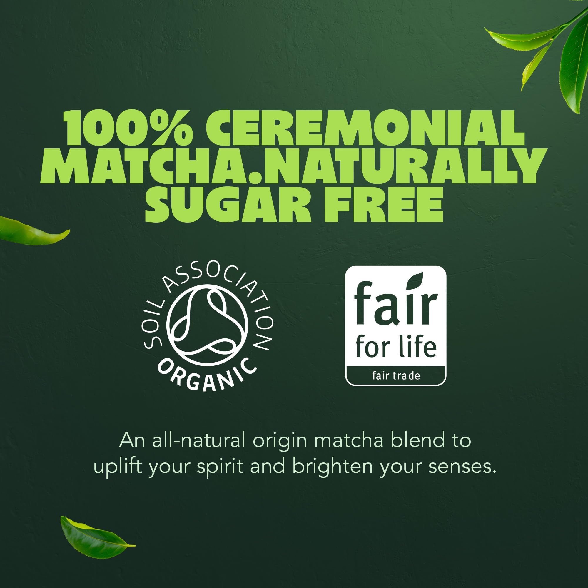 Pukka Herbs Organic Matcha Vanilla Chai Powder - Warming & Aromatic | 30g | Fair for Life Certified 8
