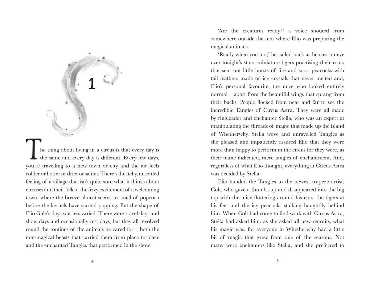 Chronicles of Whetherwhy: The Season of Flames - Book 2 | Fantasy Quest | Ages 9+ | Paperback 6