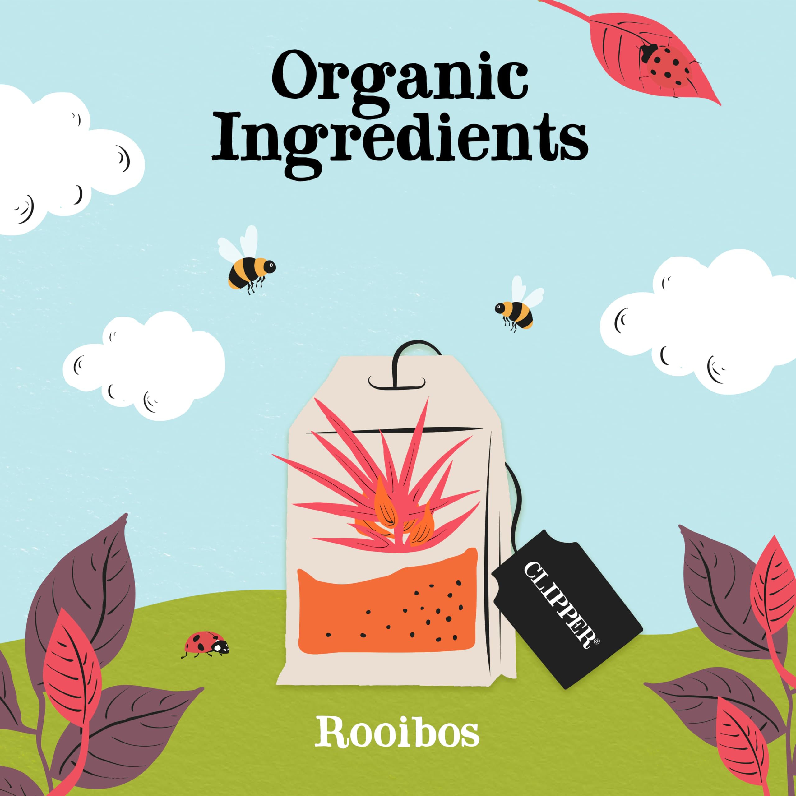 Clipper Organic Redbush Tea - 80 Caffeine Free Rooibos Teabags | 180g | Natural Antioxidants 3